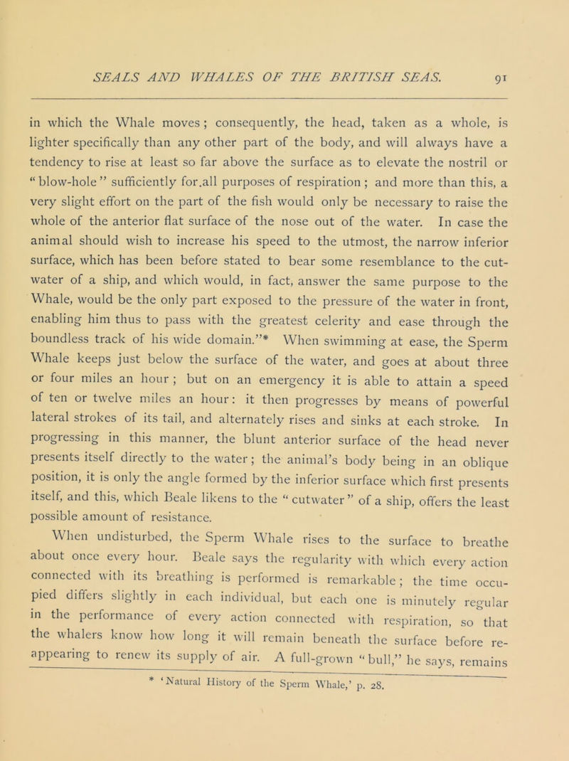 9T in which the Whale moves ; consequently, the head, taken as a whole, is lighter specifically than any other part of the body, and will always have a tendency to rise at least so far above the surface as to elevate the nostril or “blow-hole” sufficiently for.all purposes of respiration; and more than this, a very slight effort on the part of the fish would only be necessary to raise the whole of the anterior flat surface of the nose out of the water. In case the animal should wish to increase his speed to the utmost, the narrow inferior surface, which has been before stated to bear some resemblance to the cut- water of a ship, and which would, in fact, answer the same purpose to the Whale, would be the only part exposed to the pressure of the water in front, enabling him thus to pass with the greatest celerity and ease through the boundless track of his wide domain.”* When swimming at ease, the Sperm Whale keeps just below the surface of the water, and goes at about three or four miles an hour ; but on an emergency it is able to attain a speed of ten or twelve miles an houi ; it then progresses by means of powerful lateral strokes of its tail, and alternately rises and sinks at each stroke. In progressing in this manner, the blunt anterior surface of the head never presents itself directly to the water; the animal’s body being in an oblique position, it is only the angle formed by the inferior surface which first presents itself, and this, which Beale likens to the “ cutwater ” of a ship, offers the least possible amount of resistance. When undisturbed, the Sperm Whale rises to the surface to breathe about once every hour. Beale says the regularity with which every action connected with its breathing is performed is remarkable; the time occu- pied differs slightly in each individual, but each one is minutely regular in the performance of every action connected with respiration, so that the w'halers know how long it will remain beneath the surface before re- appearing to renew its supply of air. A full-grown “bull,” he says, remains