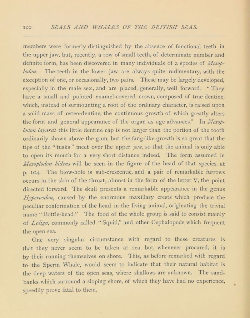 members were formerly distinguished by the absence of functional teeth in the upper jaw, but, recently, a row of small teeth, of determinate number and definite form, has been discovered in many individuals of a species of Mesop- lodon. The teeth in the lower jaw are always quite rudimentary, with the exception of one, or occasionally, two pairs. These may be largely developed, especially in the male sex, and are placed, generally, well forward. “ They have a small and pointed enamel-covered crown, composed of true dentine, which, instead of surmounting a root of the ordinary character, is raised upon a solid mass of osteo-dentine, the continuous growth of which greatly alters the form and general appearance of the organ as age advances.” In Mesop- lodon layardi this little dentine cap is not larger than the portion of the tooth ordinarily shown above the gum, but the fang-like growth is so great that the tips of the “tusks” meet over the upper jaw, so that the animal is only able to open its mouth for a very short distance indeed. The form assumed in Mesoplodon bidens will be seen in the figure of the head of that species, at p. 104. The blow-hole is sub-crescentic, and a pair of remarkable furrows occurs in the skin of the throat, almost in the form of the letter V, the point directed forward. The skull presents a remarkable appearance in the genus Hyperoodon, caused by the enormous maxillary crests which produce the peculiar conformation of the head in the living animal, originating the trivial name “ Bottle-head.” The food of the whole group is said to consist mainly of Loligo, commonly called “ Squid,” and other Cephalopods which frequent the open sea. One very singular circumstance with regard to these creatures is that they never seem to be taken at sea, but, whenever procured, it is by their running themselves on shore. This, as before remarked with regard to the Sperm Whale, would seem to indicate that their natural habitat is the deep waters of the open seas, where shallows are unknown. The sand- banks which surround a sloping shore, of which they have had no experience, speedily prove fatal to them.