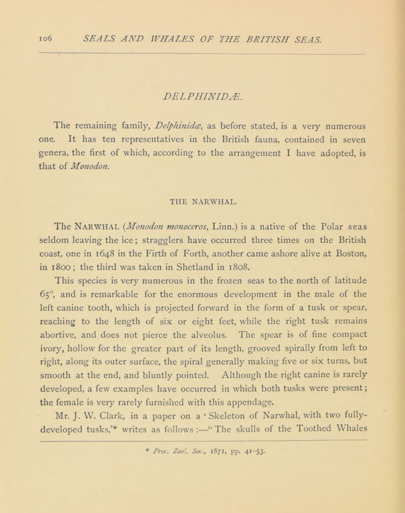 DELPHLNLDNE. The remaining family, Delphinidce, as before stated, is a very numerous one. It has ten representatives in the British fauna, contained in seven genera, the first of which, according to the arrangement I have adopted, is that of Mono don. THE NARWHAL. The NARWHAL (Monodon monoceros, Linn.) is a native of the Polar seas seldom leaving the ice; stragglers have occurred three times on the British coast, one in 1648 in the Firth of Forth, another came ashore alive at Boston, in 1800; the third was taken in Shetland in 1808. This species is very numerous in the frozen seas to the north of latitude 65°, and is remarkable for the enormous development in the male of the left canine tooth, which is projected forward in the form of a tusk or spear, reaching to the length of six or eight feet, while the right tusk remains abortive, and does not pierce the alveolus. The spear is of fine compact ivory, hollow for the greater part of its length, grooved spirally from left to right, along its outer surface, the spiral generally making five or six turns, but smooth at the end, and bluntly pointed. Although the right canine is rarely developed, a few examples have occurred in which both tusks were present; the female is very rarely furnished with this appendage. Mr. J. W. Clark, in a paper on a ‘ Skeleton of Narwhal, with two fully- developed tusks,’* writes as follows:—“The skulls of the Toothed Whales * Proc. Zoo!. Soc., 1871, pp. 41-53.