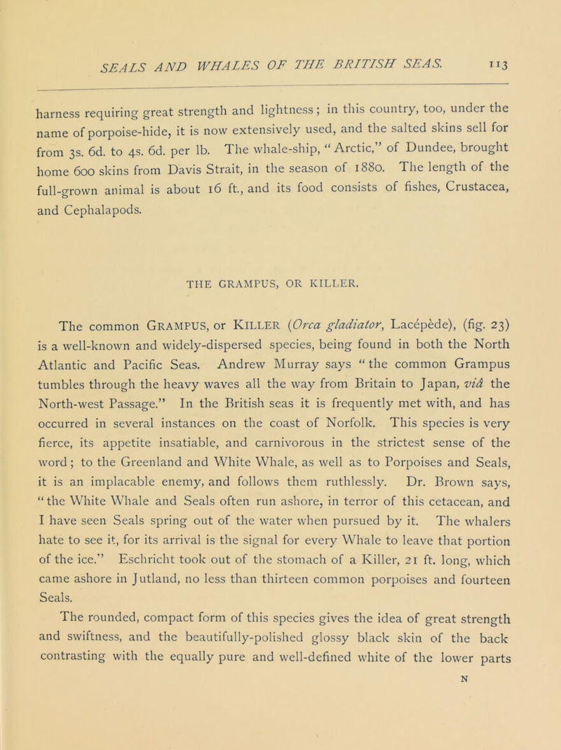 harness requiring great strength and lightness; in this country, too, under the name of porpoise-hide, it is now extensively used, and the salted skins sell for from 3s. 6d. to 4s. 6d. per lb. The whale-ship, “Arctic,” of Dundee, brought home 600 skins from Davis Strait, in the season of 1880. The length of the full-grown animal is about 16 ft., and its food consists of fishes, Crustacea, and Cephalapods. THE GRAMPUS, OR KILLER. The common Grampus, or Killer (Orca gladiator, Lacepede), (fig. 23) is a well-known and widely-dispersed species, being found in both the North Atlantic and Pacific Seas. Andrew Murray says “the common Grampus tumbles through the heavy waves all the way from Britain to Japan, vid the North-west Passage.” In the British seas it is frequently met with, and has occurred in several instances on the coast of Norfolk. This species is very fierce, its appetite insatiable, and carnivorous in the strictest sense of the word; to the Greenland and White Whale, as well as to Porpoises and Seals, it is an implacable enemy, and follows them ruthlessly. Dr. Brown says, “ the White Whale and Seals often run ashore, in terror of this cetacean, and I have seen Seals spring out of the water when pursued by it. The whalers hate to see it, for its arrival is the signal for every Whale to leave that portion of the ice.” Eschricht took out of the stomach of a Killer, 21 ft. long, which came ashore in Jutland, no less than thirteen common porpoises and fourteen Seals. The rounded, compact form of this species gives the idea of great strength and swiftness, and the beautifully-polished glossy black skin of the back contrasting with the equally pure and well-defined white of the lower parts N