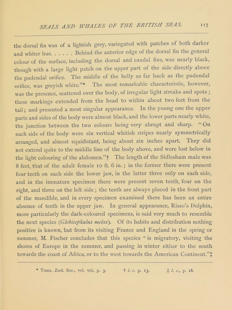 the dorsal fin was of a lightish grey, variegated with patches of both darker and whiter hue Behind the anterior edge of the dorsal fin the general colour of the surface, including the dorsal and caudal fins, was neaily black, though with a large light patch on the upper part of the side directly above the pudendal orifice. T. he middle of the belly as fai back as the pudendal orifice, was greyish white.”* The most remarkable characteristic, however, was the presence, scattered over the body, of iiregulai light stieaks and spots , these markings extended from the head to within about two feet from the tail; and presented a most singular appearance. In the young one the upper parts and sides of the body were almost black, and the lower parts nearly white, the junction between the two colours being very abrupt and sharp. “On each side of the body were six vertical whitish stripes nearly symmetrically arranged, and almost equidistant, being about six inches apart. They did not extend quite to the middle line of the body above, and were lost below in the light colouring of the abdomen.”f The length of the Sidlesham male was 8 feet, that of the adult female io ft. 6 in. ; in the former there were present four teeth on each side the lower jaw, in the latter three only on each side, and in the immature specimen there were present seven teeth, four on the right, and three on the left side ; the teeth are always placed in the front part of the mandible, and in every specimen examined there has been an entire absence of teeth in the upper jaw. In general appearance, Risso’s Dolphin, more particularly the dark-coloured specimens, is said very much to resemble the next species (Globicephalns mclas). Of its habits and distribution nothing positive is known, but from its visiting France and England in the spring or summer, M. Fischer concludes that this species “ is migratory, visiting the shores of Europe in the summer, and passing in winter either to the south towards the coast of Africa, or to the west towards the American Continent.”! * Trans. Zool. Soc., vol. viii, p. 3. t /. c. p. 13. J /. c., p. 18.