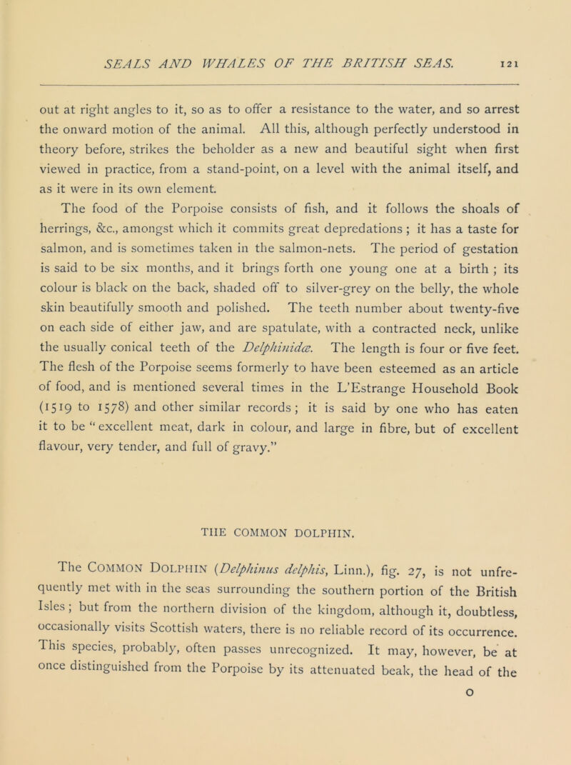 out at right angles to it, so as to offer a resistance to the water, and so arrest the onward motion of the animal. All this, although perfectly understood in theory before, strikes the beholder as a new and beautiful sight when first viewed in practice, from a stand-point, on a level with the animal itself, and as it were in its own element. The food of the Porpoise consists of fish, and it follows the shoals of herrings, &c., amongst which it commits great depredations ; it has a taste for salmon, and is sometimes taken in the salmon-nets. The period of gestation is said to be six months, and it brings forth one young one at a birth ; its colour is black on the back, shaded off to silver-grey on the belly, the whole skin beautifully smooth and polished. The teeth number about twenty-five on each side of either jaw, and are spatulate, with a contracted neck, unlike the usually conical teeth of the Delphinidce. The length is four or five feet. The flesh of the Porpoise seems formerly to have been esteemed as an article of food, and is mentioned several times in the L’Estrange Household Book (i5x9 t0 H78) and other similar records; it is said by one who has eaten it to be “ excellent meat, dark in colour, and large in fibre, but of excellent flavour, very tender, and full of gravy.” THE COMMON DOLPHIN. The Common Dolphin (Delplnnus delphis, Linn.), fig. 27, is not unfre- quently met with in the seas surrounding the southern portion of the British Isles , but from the northern division of the kingdom, although it, doubtless, occasionally visits Scottish waters, there is no reliable record of its occurrence. This species, probably, often passes unrecognized. It may, however, be at once distinguished from the Porpoise by its attenuated beak, the head of the o