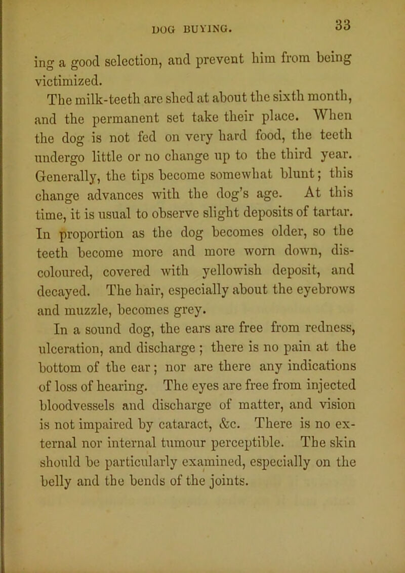 dog buying. ing a good selection, and prevent him from being victimized. The milk-teeth are shed at about the sixth month, and the permanent set take their place. When the dog is not fed on very hard food, the teeth undergo little or no change up to the third year. Generally, the tips become somewhat blunt; this change advances with the dog’s age. At this time, it is usual to observe slight deposits of tartar. In proportion as the dog becomes older, so the teeth become more and more worn down, dis- coloured, covered with yellowish deposit, and decayed. The hair, especially about the eyebrows and muzzle, becomes grey. In a sound dog, the ears are free from redness, ulceration, and discharge ; there is no pain at the bottom of the ear; nor are there any indications of loss of hearing. The eyes are free from injected bloodvessels and discharge of matter, and vision is not impaired by cataract, &e. There is no ex- ternal nor internal tumour perceptible. The skin should be particularly examined, especially on the belly and the bends of the joints.