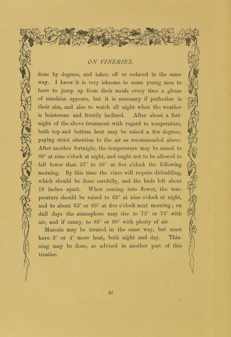 ,v 0^ ON~ VINERIES. done by degrees, and taken off or reduced in the same way. 1 know it is very irksome to some young men to have to jump up from their meals every time a gleam of sunshine appears, but it is necessary if perfection is their aim, and also to watch all night when the weather is boisterous and frostily inclined. After about a fort- night of the above treatment with regard to temperature, both top and bottom heat may be raised a few degrees, paying strict attention to the air as recommended above. After another fortnight, the temperature may be raised to 60° at nine o’clock at night, and ought not to be allowed to fall lower than 57° to 58° at five o’clock the following morning. By this time the vines will recpiire disbudding, which should be done carefully, and the buds left about 18 inches apart. When coming into flower, the tem- perature should be raised to 65° at nine o’clock at night, and to about 63° or 65° at five o’clock next morning; on dull days the atmosphere may rise to 72° or 75° with air, and if sunny, to 85° or 90° with plenty of air. Muscats may be treated in the same way, but must have 3° or 4° more heat, both night and day. Thin- ning may be done, as advised in another part of this treatise.