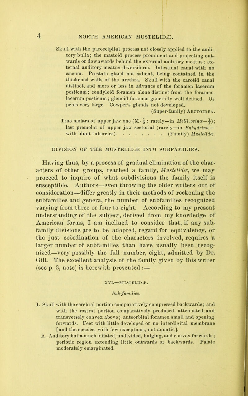 Skull with the paroccipital process not closely applied to the audi- tory bulla; the mastoid process prominent and projecting out- wards or downwards behind the external auditory meatus; ex- ternal auditory meatus diversiform. Intestinal canal with no caecum. Prostate gland not salient, being contained in the thickened walls of the urethra. Skull with the carotid canal distinct, and more or less in advance of the foramen lacerum posticum; condyloid foramen alone distinct from the foramen lacerum posticum; glenoid foramen generally well defined. Os penis very large. Cowper’s glands not developed. (Super-family) Arctoidea. True molars of upper jaw one (M. ^ : rarely—in Mellivonnce—\)] last premolar of upper jaw sectorial (rarely—in Enhydrince— with blunt tubercles) (Family) Mustelidce. DIVISION OF THE MUSTELID^ INTO SUBFAMILIES. Haviug thus, by a process of gradual eliminatiou of the char- acters of other groups, reached a family, Mustelidce^ we may proceed to inquire of what subdivisions the family itself is susceptible. Authors—even throwing the older writers out of consideration—differ greatly in their methods of reckoning the subfamilies and genera, the number of subfamilies recognized varying from three or four to eight. According to my present understanding of the subject, derived from my knowledge of American forms, I am inclined to consider that, if any sub- family divisions ^re to be adopted, regard for equivalency, or the just coordination of the characters involved, requires a larger number of subfamilies than have usually been recog- nized—very possibly the full number, eight, admitted by Dr. Gill. The excellent analysis of the family given by this writer (see p. 3, note) is herewith presented :— XVI.—MUSTELID^. Suh-families. I. Skull with the cerebral portion comparatively compressed backwards; and with the rostral portion comparatively produced, attenuated, and transversely convex above; anteorbital foramen small and opening forwards. Feet with little developed or no interdigital membrane [and the species, with few exceptions, not aquatic]. A. Auditory bulla much inflated, undivided, bulging, and convex forwards ; periotic region extending little outwards or backwards. Palate moderately emarginated.