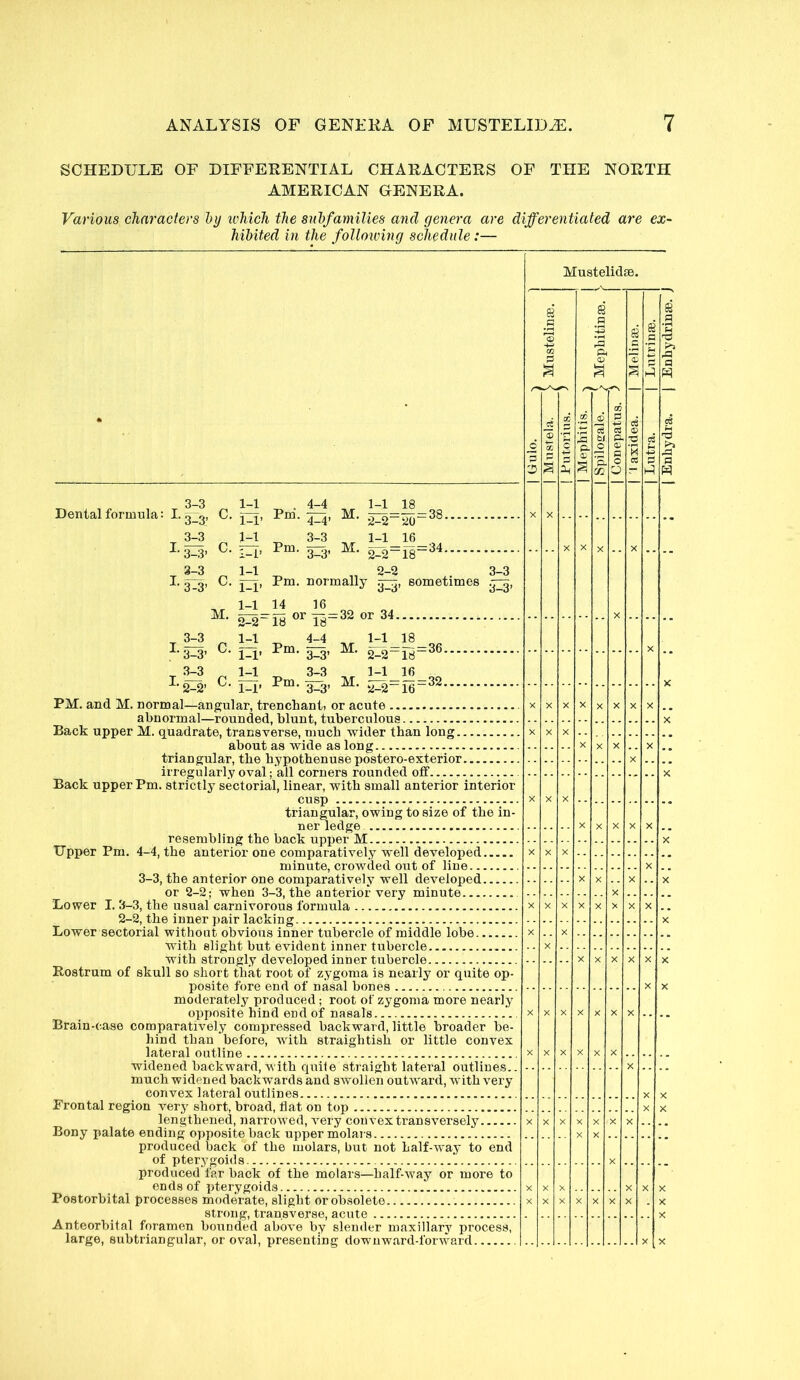 SCHEDULE OF DIFFERENTIAL CHARACTERS OF THE NORTH AMERICAN GENERA. Various characters hy ivMch the subfamilies and genera are differentiated are ex~ hibited in the folloiving schedule:— Dental formula: I. . 3-3 1-1 4-4 1-1 18 Pm. 5^, M, 7,=38.. 3-3’ ^ 3-3 ^ 1-1 ^ 3-3 1-1 16 ^ ^•3-3> 1-i’ 3-3’ 2-2“18“^^ 3—3 1—1 2—2 3—3 I. C, Pm. normally sometimes 1-1 14 16 M. jy or or 34 18“ 3-3 ^ 1-1 ^ 4-4 1-3-3’ 1-1’ 3-3’ 1-1 M. 2-2-18“ 1-1 o——32.. ^ 3-3 I-2-2’ 1-1’ 3-3’ PM. and M. normal—angular, trenchant) or acute abnormal—rounded, blunt, tuberculous Back upper M. quadrate, transverse, much wider than long about as wide as long triangular, the hypothenuse postero-exterior irregularly oval; all corners rounded oiF Back upper Pm. strictly sectorial, linear, with small anterior interior cusp triangular, owing to size of the in- ner ledge resembling the back upper M Upper Pm. 4-4, the anterior one comparatively well developed minute, crowded out of line 3-3, the anterior one comparatively well developed or 2-2; when 3-3, the anterior very minute Lower I. 3-3, the usual carnivorous formula 2-2, the inner pair lacking Lower sectorial without obvious inner tubercle of middle lobe with slight but evident inner tubercle with strongly developed inner tubercle Rostrum of skull so short that root of zygoma is nearly or quite op- posite fore end of nasal bones moderately produced; root of zygoma more nearly opposite hind end of nasals Brain-case comparatively compressed backward, little broader be- hind than before, with straightish or little convex lateral outline widened backward, with quite straight lateral outlines., much widened backwards and swollen outward, with very convex lateral outlines Frontal region very short, broad, flat on top lengthened, narrowed, very convex transversely Bony palate ending opposite back upper molars produced back of the molars, but not half-way to end of pterygoids produced far back of the molars—half-way or more to ends of pterygoids Postorbitai processes moderate, slight or obsolete strong, transverse, acute Anteorbital foramen bounded above by slender maxillarj^ process, large, subtriangular, or oval, presenting downward-forward I Lutra. I Lutrinae. I Enhydra. j Enhydrinae.