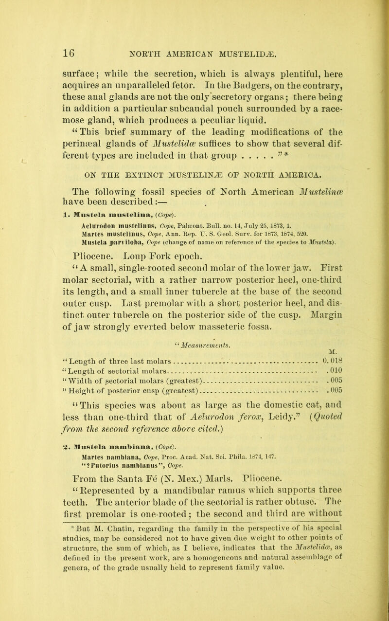 surface; while the secretion, which is always plentiful, here acquires an unparalleled fetor. In the Badgers, on the contrary, these anal glands are not the only'secretory organs j there being in addition a particular subcaudal pouch surrounded by a race- mose gland, which produces a peculiar liquid. ‘‘This brief summary of the leading modifications of the peringeal glands of Mustelidce suffices to show that several dif- ferent types are included in that group ON THE EXTINCT MUSTELINE OF NORTH AMERICA. The following fossil species of North American Mustelince have been described:— 1. Alustela mustelina, (Cope). Aelurodon mustelinus, Cope, Palseont. Bull. no. 14, July 25,1873,1. Martes mustelinus, Cope, Ann. Rep. U. S. Geol. Surv. for 1873,1874, 520. Mustela parviloba, Cope (change of name on reference of the species to Muetela). Pliocene. Loup Fork epoch. “A small, single-rooted second molar of the lower jaw. First molar sectorial, with a rather narrow posterior heel, one-third its length, and a small inner tubercle at the base of the second outer cusp. Last premolar with a short posterior heel, and dis- tinct outer tubercle on the posterior side of the cusp. Margin of jaw strongly everted below masseteric fossa. “Measurements. M. “ Length of three last molars 0. 018 “Length of sectorial molars 010 “Width of sectorial molars (greatest) 005 “ Height of posterior cusp (greatest) 005 “This species was about as large as the domestic cat, and less than one-third that of Aelurodon ferox.) Leidy.’^ {Quoted from the second reference above cited.) 2. Mustela nambiaiia, {Cope). Martes nambiana, Cope, Proc. Acad. Nat. Sci, Phila. 1874, 147. “?Putorius nambianus”, Cope. From the Santa Fe (N. Mex.) Marls. Pliocene. “Kepresented by a mandibular ramus which supports three teeth. The anterior blade of the sectorial is rather obtuse. The first premolar is one-rooted; the second and third are without * But M. Chatin, regarding the family in the perspective of his special studies, may he considered not to have given due weight to other points of structure, the sum of which, as I believe, indicates that the Mustelidce, as defined in the present work, are a homogeneous and natural assemblage of genera, of the grade usually held to represent family value.