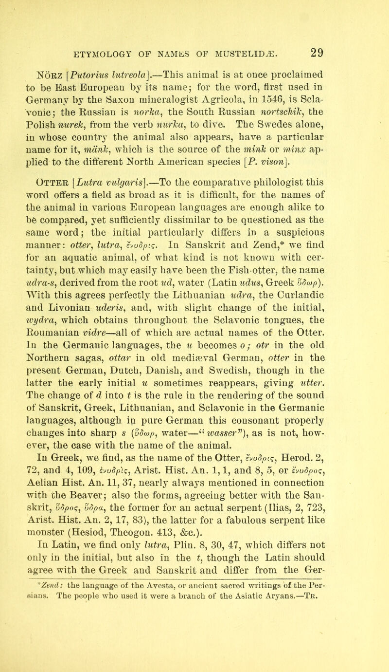 Norz [Putorius lutreola],—This animal is at once proclaimed to be East European by its name; for the word, first used in Germany by the Saxon mineralogist Agricola, in 1546, is Scla- vonic; the Eussian is norka, the South Eussian nortscMk, the Polish nurek, from the verb nurka^ to dive. The Swedes alone, in whose country the animal also appears, have a particular name for it, mdnk, which is the source of the mink or minx ap- plied to the different North American species [P. vison]. Otter [Lutra vulgaris].—To the comparative philologist this word offers a field as broad as it is difficult, for the names of the animal in various European languages are enough alike to be compared, yet sufficiently dissimilar to be questioned as the same word; the initial particularly differs in a suspicious manner: otter, lutra, evodpiq. In Sanskrit and Zend,* we find for an aquatic animal, of what kind is not known with cer- tainty, but which may easily have been the Fish-otter, the name udra-s, derived from the root ud, water (Latin udus, Greek odcDp). With this agrees perfectly the Lithuanian udra, the Ourlandic and Livonian uderis, and, with slight change of the initial, wydra, which obtains throughout the Sclavonic tongues, the Eoumanian vidre—all of which are actual names of the Otter. In the Germanic languages, the u becomes o; otr in the old Northern sagas, ottar in old mediaeval German, otter in the present German, Dutch, Danish, and Swedish, though in the latter the early initial u sometimes reappears, giving utter. The change of d into t is the rule in the rendering of the sound of Sanskrit, Greek, Lithuanian, and Sclavonic in the Germanic languages, although in pure German this consonant properly changes into sharp s (odwp, water—^^wasser^^), as is not, how- ever, the case with the name of the animal. In Greek, we find, as the name of the Otter, kvoSpiq, Herod. 2, 72, and 4, 109, hudp'tc;, Arist. Hist. An. 1,1, and 8, 5, or evudpoq, Aelian Hist. An. 11, 37, nearly always mentioned in connection with the Beaver; also the forms, agreeing better with the San- skrit, udpoq, udpa, the former for an actual serpent (Ilias, 2, 723, Arist. Hist. An. 2,17, 83), the latter for a fabulous serpent like monster (Hesiod, Theogon. 413, &c.). In Latin, we find only lutra, Plin. 8, 30, 47, which differs not only in the initial, but also in the t, though the Latin should agree with the Greek and Sanskrit and differ from the Ger- *Zend: the language of the Avesta, or ancient sacred writings of the Per- sians. The people who used it were a branch of the Asiatic Aryans.—Tjr.