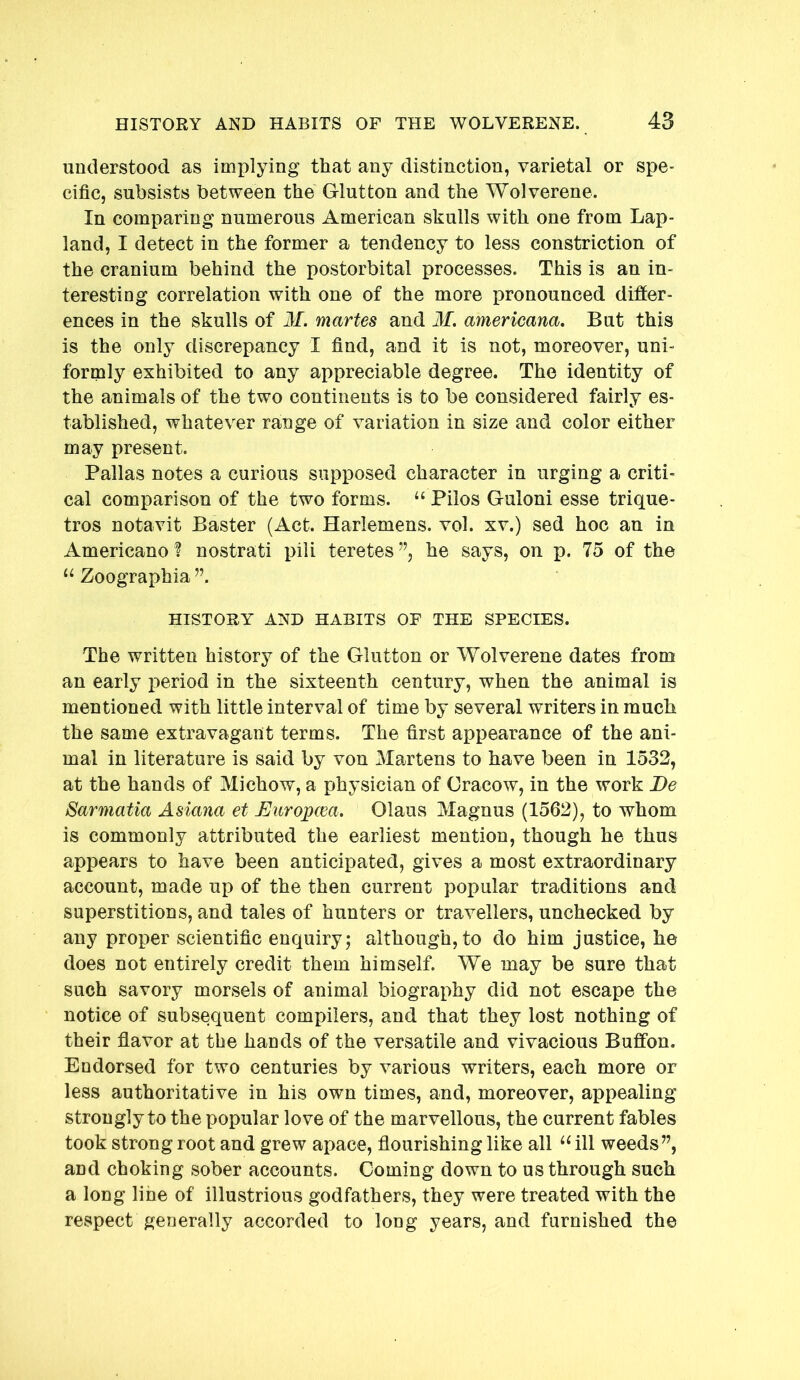 understood as implying that any distinction, varietal or spe- cific, subsists between the Glutton and the Wolverene. In comparing numerous American skulls with one from Lap- land, I detect in the former a tendency to less constriction of the cranium behind the postorbital processes. This is an in- teresting correlation with one of the more pronounced differ- ences in the skulls of M. martes and M. americana. But this is the only discrepancy I find, and it is not, moreover, uni- formly exhibited to any appreciable degree. The identity of the animals of the two continents is to be considered fairly es- tablished, whatever range of variation in size and color either may present. Pallas notes a curious supposed character in urging a criti- cal comparison of the two forms. Pilos Guloni esse trique- tros notavit Baster (Act. Harlemens. vol. xv.) sed hoc an in Americano? nostrati pili teretes”, he says, on p. 75 of the Zoographia HISTORY AND HABITS OF THE SPECIES. The written history of the Glutton or Wolverene dates from an early period in the sixteenth century, when the animal is mentioned with little interval of time by several writers in much the same extravagant terms. The first appearance of the ani- mal in literature is said by von Martens to have been in 1532, at the hands of Mi chow, a physician of Cracow, in the work Be Sarmatia Asiana et Europcea. Olaus Magnus (1562), to whom is commonly attributed the earliest mention, though he thus appears to have been anticipated, gives a most extraordinary account, made up of the then current popular traditions and superstitions, and tales of hunters or travellers, unchecked by any proper scientific enquiry; although, to do him justice, he does not entirely credit them himself. We may be sure that such savory morsels of animal biography did not escape the notice of subsequent compilers, and that they lost nothing of their flavor at the hands of the versatile and vivacious Bufifon. Endorsed for two centuries by various writers, each more or less authoritative in his own times, and, moreover, appealing strongly to the popular love of the marvellous, the current fables took strong root and grew apace, flourishing like all ill weeds”, and choking sober accounts. Coming down to us through such a long line of illustrious godfathers, they were treated with the respect generally accorded to long years, and furnished the