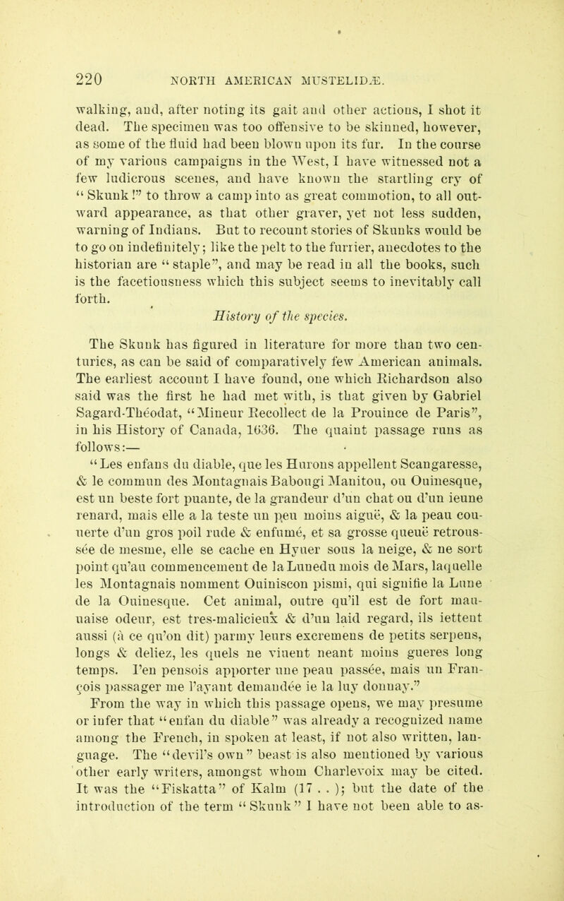 walking, and, after noting its gait and other actions, I shot it dead. The specimen was too offensive to be skinned, however, as some of the fluid had been blown upon its fur. In the course of my various campaigns in the West, I have witnessed not a few ludicrous scenes, and have known the startling cry of ‘‘ Skunk!’’ to throw a camp into as great commotion, to all out- ward appearance, as that other graver, yet not less sudden, warning of Indians. But to recount stories of Skunks would be to go on indefinitely; like the pelt to the furrier, anecdotes to the historian are “ staple”, and may be read in all the books, such is the facetiousness which this subject seems to inevitably call forth. History of the species. The Skunk has figured in literature for more than two cen- turies, as can be said of comparatively few American animals. The earliest account I have found, one which Eichardson also said was the first he had met with, is that given by Gabriel Sagard-Theodat, “Mineur Eecollect de la Prouince de Paris”, in his History of Canada, 1636. The quaint passage runs as follows:— “Les enfans du diable, que les Hurons appellent Scangaresse, & le commun des MontagnaisBabougi Manitou, on Ouinesque, est un beste fort puante, de la grandeur d’un chat ou d’un ieune renard, mais elle a la teste un peu moins aigue, & la peau cou- uerte d’un gros poil rude & enfume, et sa grosse queue retrous- see de mesme, elle se cache en Hyuer sous la neige, & ne sort point qu’au commencement de laLunedu mois de Mars, laquelle les Montagnais nomment Ouiniscon pismi, qui signifie la Lune de la Ouinesque. Get animal, outre qu’il est de fort mau- uaise odeur, est tres-malicieux & d’un laid regard, ils iettent aussi (a ce qu’on dit) parmy leurs excisemens de petits serpens, longs & deliez, les quels ne viuent neant moins gueres long temps. Pen pensois apporter une peau passee, mais un Fran- cois passager me I’ayant demandee ie la luy donuay.” From the way in which this passage opens, we may presume or infer that “enfan du diable” was already a recognized name among the French, in spoken at least, if not also written, lan- guage. The “devil’s own” beast is also mentioned by various other early writers, amongst whom Charlevoix may be cited. It was the “Fiskatta” of Kalm (17 . . ); but the date of the introduction of the term “ Skunk” I have not been able to as-