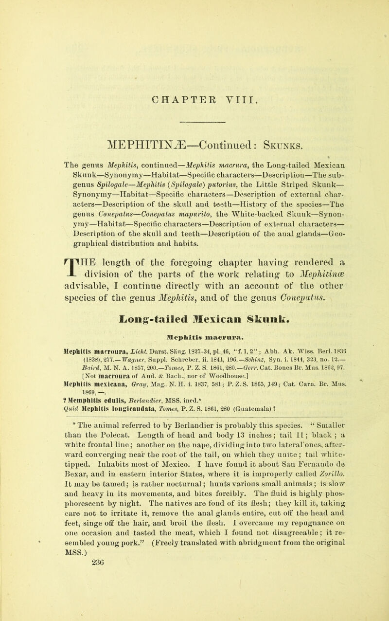 CHAPTER YIII. MEPHITIN^—Continued: Skunks. The genus Mephitis, continued—Mephitis macrura, the Long-tailed Mexican Skunk—Synonymy—Habitat—Specific characters—Description—The sub- genus Spilogale—Mephitis (Spilogale) putorius, the Little Striped Skunk— Synonymy—Habitat—Specific characters—Description of external char- acters—Description of the skull and teeth—History of the species—The genus Conepatus—Conepatm mapurito, the White-backed Skunk—Synon- ymy—Habitat—Specific characters—Description of external characters— Description of the skull and teeth—Description of the anal glands—Geo- graphical distribution and habits. The length of the foregoing chapter having rendered a division of the parts of the work relating to Mephitince advisable, I continue directly with an account of the other species of the genus Mephitis^ and of the genus Conepatiis. Mexican 8kunk. Mephitis macrura. Mephitis marroura, Licht. Darst. Sang. 1827-34, pi. 46, “f. 1, 2” ; Abh. Ak. Wiss. Berl. 1836 (1838), 277.— Wagner, Suppl. Schreber, ii. 1841, l96.—Sohinz, Syn. i. 1844, 323, no. 12.— Baird, M. N. A. 1857, 200.—Tomes, P. Z. S. 1861,280.—(?em Cat. Bones Br. Mas. 1862, 97. [Not macroura of And. & Bach., nor of Woodhouse.] Mephitis mexicana, Qray,M.&g. N. H. i. 1837, 581; P. Z. S. 1865, >49; Cat. Cam. Br. Mas. 1869, —. ? Memphitis eduiis, Berlandier, MSS. ined.* Qaid Mephitis ioiigicaiidata. Tomes, P. Z. S. 1861, 280 (Guatemala) ? * The animal referred to by Berlandier is probably this species. “ Smaller than the Polecat. Length of head and body 1.3 inches; tail 11; black ; a white frontal line; another on the nape, dividing into two laterafones, after- w'ard converging near the root of the tail, on which they unite ; tail white- tipped. Inhabits most of Mexico. I have found it about San Fernando de Bexar, and in eastern interior States, where it is improperly called Zorillo. It may be tamed; is rather nocturnal; hunts various small animals; is slow and heavy in its movements, and bites forcibly. The fluid is highly phos- phorescent by night. The natives are fond of its flesh; they kill it, taking care not to irritate it, remove the anal glands entire, cut off the head and feet, singe off the hair, and broil the flesh. I overcame my repugnance on one occasion and tasted the meat, which I found not disagreeable; it re- sembled young pork.” (Freely translated with abridgment from the original MSS.)