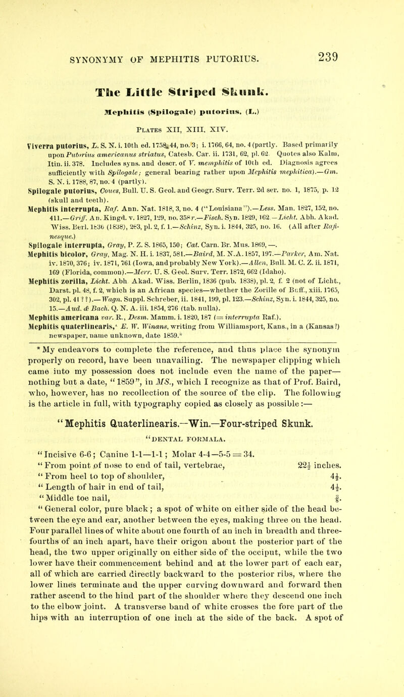 The liittBe Striped Siiisiik. Mephitis (Spilogale) pntoriiis. (L..) Plates XII, XIII, XIV. Viverra putorius, L. S. X. i. loth ed. 175^^44, no.'3; i. 1766, 64, no, 4 (partly. Based primarily nponPrttorrm- americanus striatus, Catesb. Car. ii. 1731, 62, pi. 62. Quotes also Kalm, Itin. ii. 378. Includes syns. and descr. of V. memphitis of lOtb ed. Diagnosis agrees sufficiently with Spilogale; general bearing rather upon Mephitis mephitica).—Gm. S. X. i. 1788, 87, no. 4 (partly). Spilogale putorius, Ooues, Bull. U.S. Geol. and Geogr.Surv. Terr. 2d ser. no. 1, 1875, p. 12 (skull and teeth). Mephitis interrupta, Raf. Ann. Xat. 1818, 3, no. 4 (“Louisiana”).—Bess. Man. 1827,152, no, 411.—GnJ. An. Kingd. v. 1827,129, no. 358y.—PiscA Syn. 1829, 162.-iic/if. Abh. Akad. Wiss. Berl. 1836 (1838), 283, pi. 2, f. \.—Schinz, Syn. i. 1844, 325, no. 16. (All after Rafi- nesque.) Spilogale interrupta, Gray, P. Z. S. 1865,150; Cat. Cam. Br. Mus. 1869, —. Mephitis hicolor. Gray, Mag. X. H. i. 1837, 581.—Baird, M. X.A. 1857, 197.—Parker, Am. Xat. iv. 1870, 376; iv. 1871, 761 (Iowa, andprobably Xew York).—Allen, Bull. M. C. Z. ii. 1871, 169 (Florida, common).—Merr. U. S. Geol. Surv. Terr, 1872, 662 (Idaho). Mephitis zorilla, Licht. Abh Akad. Wiss, Berlin, 1836 (pub. 1838), pi. 2, f. 2 (not of Licht., Darst. pi. 48, f. 2, which is an African species—whether the Zorille of Buffi, xiii. 1765, 302, pi. 41 ? ?).— Wagn. Suppl. Schreber, ii. 1841,199, pi. 123.—Schinz, Syn. i. 1844, 325, no. l^.—Aud. (& Bach. Q. X. A. iii. 1854, 276 (tab. nulla). Mephitis auiericana var. R., Desm. Mamm. i. 1820,187 (= interrupta Eaf.). Mephitis quaterliuearis,- E. IT. Winans, writing from Williamsport, Kans., in a (Kansas ?) newspaper, name unknown, date 18.59.* *My endeavors to complete the reference, and thus place the synonym properly on record, have been unavailing. The newspaper clipping which came into my possession does not include even the name of the paper— nothing but a date, “ 1859”, in MS., which I recognize as that of Prof. Baird, who, however, has no recollection of the source of the clip. The following is the article in full, with typography copied as closely as possible :— “Mephitis Quaterlinearis.—Win.—Four-striped Skunk. “dental form ala. “Incisive 6-6; Canine 1-1—1-1; Molar 4-4—5-5 = 34. “ From point of nose to end of tail, vertebrae, 22^ inches. “ From heel to top of shoulder, 4^. “ Length of hair in end of tail, 4^. “ Middle toe nail, |. “ General color, pure black; a spot of white on either side of the head be- tween the eye and ear, another between the eyes, making three on the head. Four parallel lines of white about one fourth of an inch in breadth and three- fourths of an inch apart, have their origon about the posterior part of the head, the two upper originally on either side of the occiput, while the two lower have their commencement behind and at the lower part of each ear, all of which are carried directly backward to the posterior ribs, where the lower line's terminate and the upper curving downward and forward then rather ascend to the hind part of the shoulder where they descend one inch to the elbow joint. A transverse band of white crosses the fore part of the hips with an interruption of one inch at the side of the back. A spot of
