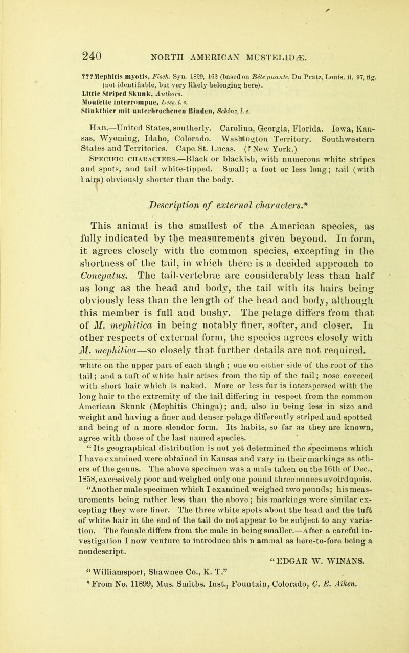 ???Mephitis mj-otiS, Fisch. Syn. 1829, 162 (basedon Betepuante, Da Pratz, Louis, ii. 97, fig. (not identifiable, but very likely belonging here). Little Striped Skunk, Authors. Moufette interrompue, Less. 1. c. Stiiikthier mit uiiterbrocheiien Bindeii, ScMnz, I c. Hab.—United States, southerly. Carolina, Georgia, Florida. Iowa, Kan- sas, Wyoming, Idaho, Colorado. WasMngton Territory. Southwestern States and Territories. Cape St. Lucas. (?New York.) Specific characters.—Black or blackish, with numerous white stripes and spots, and tail white-tipped. Small; a foot or less long; tail (with Lair^) obviously shorter than the body. Description of external characters.* This animal is the smallest of the American species, as fully indicated by the measurements given beyond. In form, it agrees closely with the common species, excepting in the shortness of the tail, in which there is a decided approach to Conepatus. The tail-vertebrae are considerably less than half as long as the head and body, the tail with its hairs being obviously less than the length of the head and bod^^, although this member is full and bushy. The pelage differs from that of M. mephitica in being notably finer, softer, and closer. In other respects of external form, the species agrees closely with M. mephitica—so closely that further details are not required. white on the upper part of each thigfi; one on either side of the root of the tail; and a tuft of white hair arises from the tix> of the tail; nose covered with short hair which is naked. More or less fur is interspersed with the long hair to the extremity of the tail differing in respect from the common American Skunk (Mephitis Chinga); and, also in being less in size and weight and having a finer and denser pelage differently striped and spotted and being of a more slender form. Its habits, so far as they are known, agree with those of the last named species. “ Its geographical distribution is not yet determined the specimens which I have examined were obtained in Kansas and vary in their markings as oth- ers of the genus. The above specimen was a male taken on the 16th of Dec., 1858, excessively poor and weighed only one pound three ounces avoirdupois. “Another male specimen which I examined weighed two pounds; his meas- urements being rather less than the above; his markings were similar ex- cepting they were finer. The three white spots about the head and the tuft of white hair in the end of the tail do not appear to be subject to any varia- tion. The female differs from the male in being smaller.—After a careful in- vestigation I now venture to introduce this n ammal as here-to-fore being a nondescript. “EDGAR W. WINANS. “Williamsport, Shawnee Co., K. T.’' From No. 11899, Mus. Smiths. Inst., Fountain, Colorado, C. E. Aiken.