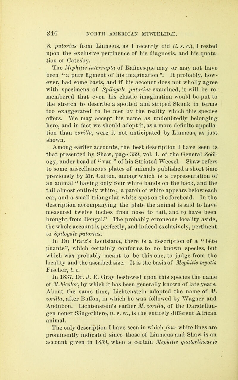 S. imtorius from Linngeiis, as I recently did [I. s. c.), I rested upon the exclusive pertinence of his diagnosis, and his quota- tion of Catesby. The Mephitis interrupta of Eafinesque may or may not have been ‘‘a pure figment of his imagination”. It probably, how- ever, had some basis, and if his account does not wholly agree with specimens of Spilogale putorius examined, it will be re- membered that even his elastic imagination would be put to the stretch to describe a spotted and striped Skunk in terms too exaggerated to be met by the reality which this species offers. We may accept his name as undoubtedly belonging here, and in fact we should adopt it, as a more definite appella- tion than zorilla, were it not anticipated by Linnaeus, as just shown. Among earlier accounts, the best description I have seen is that presented by Shaw, page 389, vol. i. of the General Zool- ogy, under head of var.” of his Striated Weesel. Shaw refers to some miscellaneous plates of animals published a short time previously by Mr. Oatton, among which is a representation of an animal ‘‘ having only four white bands on the back, and the tail almost entirely whiter a patch of white appears below each ear, and a small triangular white spot on the forehead. In the description accompanying the plate the animal is said to have measured twelve inches from nose to tail, and to have been brought from Bengal.” The probably erroneous locality aside, the whole account is perfectly, and indeed exclusively, pertinent to Spilogale putorius. In Du Prate’s Louisiana, there is a description of a bete puante”, which certainly conforms to no known species, but which was probably meant to be this one, to judge from the locality and the ascribed size. It is the basis of Mephitis myotis Pischer, 1. c. In 1837, Dr. J. E. Gray bestowed upon this species the name of M.hieolor, by which it has been generally known of late years. About the same time, Lichtenstein adopted the name of M. zorilla, after Buffon, in which he was followed by Wagner and Audubon. Lichtenstein’s earlier 31. zorilla, of the Darstelluu- geu neuer Saugethiere, u. s. w., is the entirely different African animal. The only description I have seen in wddch four white lines are prominently indicated since those of Linuseus and Shaw is an account given in 1859, when a certain Mephitis quaterlinearis