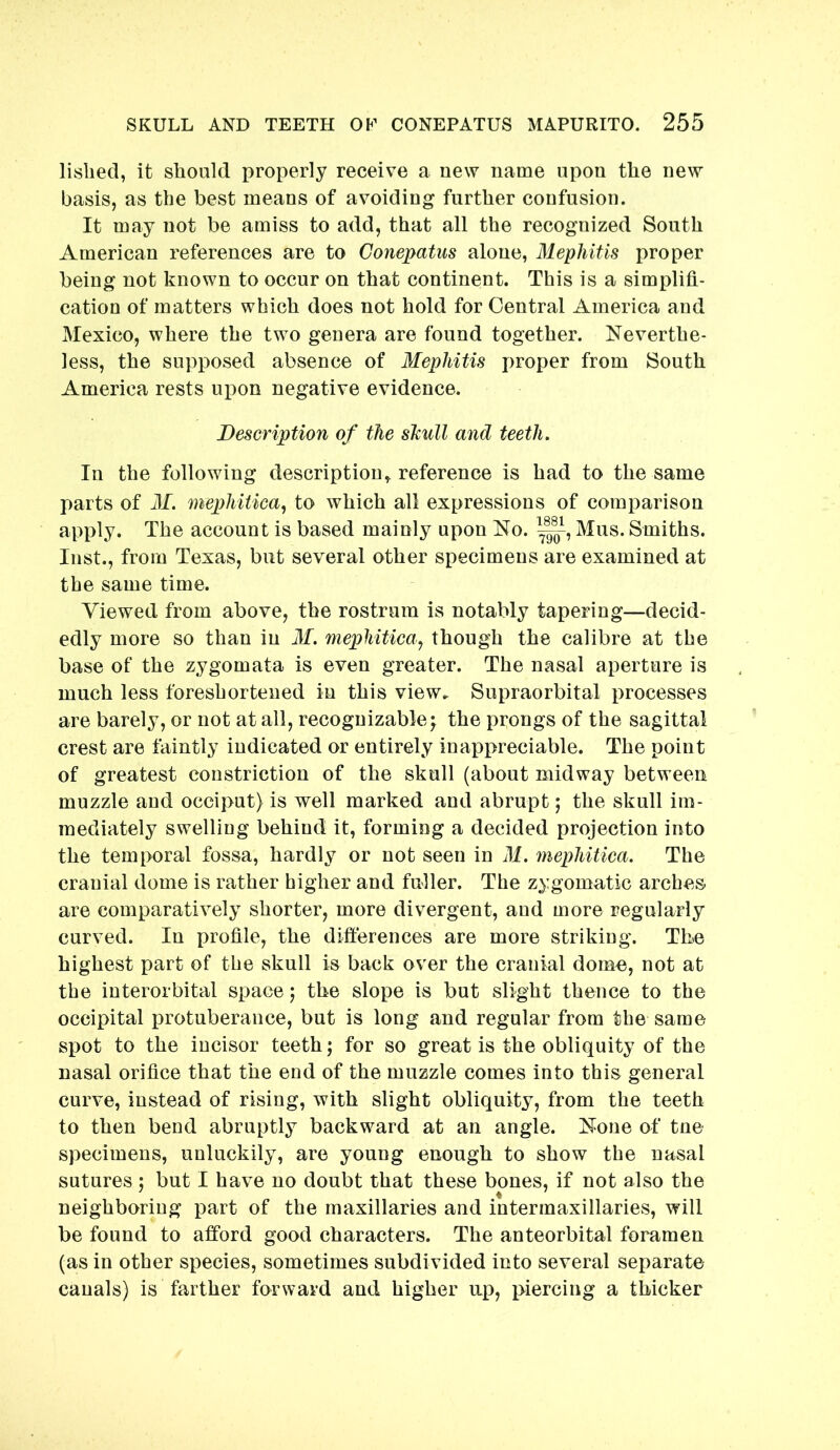 lislied, it should properly receive a new name upon the new basis, as the best means of avoiding further confusion. It may not be amiss to add, that all the recognized South American references are to Conepatus alone, Mephitis proper being not known to occur on that continent. This is a simplifi- cation of matters which does not hold for Central America and Mexico, where the two genera are found together. Neverthe- less, the supposed absence of Mephitis proper from South America rests ujjon negative evidence. Description of the shull and teeth. In the following description^ reference is had to the same parts of M. mephitica, to which all expressions of comparison apply. The account is based mainly upon No. Mus. Smiths. Inst., from Texas, but several other specimens are examined at the same time. Viewed from above, the rostrum is notably tapering—decid- edly more so than in 31. mephiticaj though the calibre at the base of the zygomata is even greater. The nasal aperture is much less foreshortened in this view. Supraorbital processes are barely, or not at all, recognizablef the prongs of the sagittal crest are faintly indicated or entirely inappreciable. The point of greatest constriction of the skull (about midway between muzzle and occiput) is well marked and abrupt; the skull im- mediately swelling behind it, forming a decided projection into the temporal fossa, hardly or not seen in 31. mephitica. The cranial dome is rather higher and fuller. The zygomatic arches, are comparatively shorter, more divergent, and more regularly curved. In profile, the differences are more striking. The highest part of the skull is back over the cranial dome, not at the interorbital space; the slope is but slight thence to the occipital protuberance, but is long and regular from the same spot to the incisor teeth; for so great is the obliquity of the nasal orifice that the end of the muzzle comes into this general curve, instead of rising, with slight obliquity, from the teeth to then bend abruptly backward at an angle. None of tne specimens, unluckily, are young enough to show the nasal sutures j but I have no doubt that these bones, if not also the neighboring part of the maxillaries and intermaxillaries, will be found to afford good characters. The anteorbital foramen (as in other species, sometimes subdivided into several separate canals) is farther forward and higher up, ]>iercing a thicker