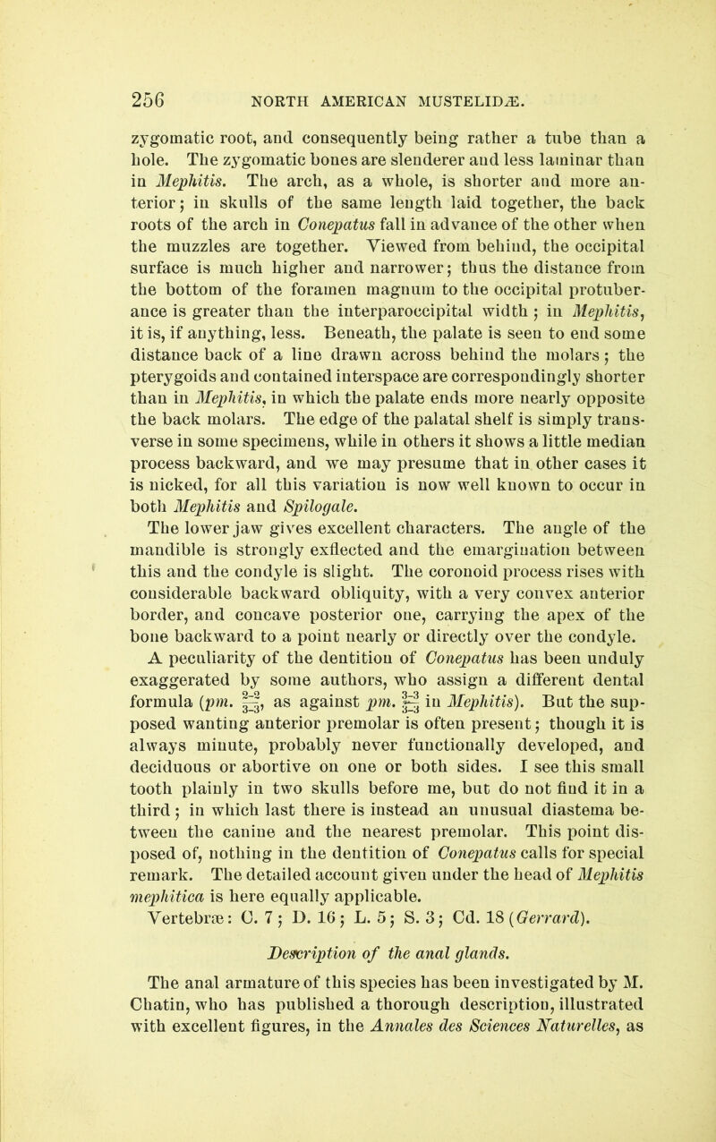 zygomatic root, and consequently being rather a tube than a hole. The zygomatic bones are slenderer and less laminar than in Mephitis. The arch, as a whole, is shorter and more an- terior 5 in skulls of the same length laid together, the back roots of the arch in Conepatus fall in advance of the other when the muzzles are together. Viewed from behind, the occipital surface is much higher and narrower; thus the distance from the bottom of the foramen magnum to the occipital protuber- ance is greater than the interparoccipital width; in Mephitis^ it is, if anything, less. Beneath, the palate is seen to end some distance back of a line drawn across behind the molars; the pterygoids and contained interspace are correspondingly shorter than in Mephitis^ in which the palate ends more nearly opposite the back molars. The edge of the palatal shelf is simply trans- verse in some specimens, while in others it shows a little median process backward, and we may presume that in other cases it is nicked, for all this variation is now well known to occur in both Mephitis and Spilogale. The lower jaw gives excellent characters. The angle of the mandible is strongly exliected and the emargination between this and the condyle is slight. The coronoid process rises with considerable backward obliquity, with a very convex anterior border, and concave posterior one, carrying the apex of the bone backward to a point nearly or directly over the condyle. A peculiarity of the dentition of Conepatus has been unduly exaggerated by some authors, who assign a different dental formula (pm. as against pm. in Mephitis). But the sup- posed wanting anterior premolar is often present; though it is always minute, probably never functionally developed, and deciduous or abortive on one or both sides. I see this small tooth plainly in two skulls before me, but do not find it in a third ; in which last there is instead an unusual diastema be- tween the canine and the nearest premolar. This point dis- posed of, nothing in the dentition of Conepatus calls for special remark. The detailed account given under the head of Mephitis mephitica is here equally applicable. Vertebrae: 0. 7 ; D. 16; L. 5; S. 3; Cd. IS (Gerrard). Description of the anal glands. The anal armature of this species has been investigated by M. Chatin, who has published a thorough description, illustrated with excellent figures, in the Annales des Sciences Maturelles, as