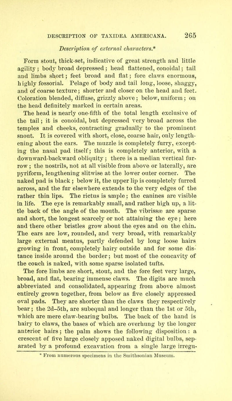 Description of external characters.* Form stout, thick-set, indicative of great strength and little agility j body broad depressed; head flattened, conoidal 5 tail and limbs short 5 feet broad and flat 5 fore claws enormous, highly fossorial. Pelage of body and tail long, loose, shaggy, and of coarse texture 5 shorter and closer on the head and feet. Coloration blended, diffuse, grizzly above j below, uniform; on the head definitely marked in certain areas. The head is nearly one-fifth of the total length exclusive of the tail; it is conoidal, but depressed very broad across the temples and cheeks, contracting gradually to the prominent snout. It is covered with short, close, coarse hair, only length- ening about the ears. The muzzle is completely furry, except- ing the nasal pad itself 5 this is completely anterior, with a downward-backward obliquity 5 there is a median vertical fur- row ; the nostrils, not at all visible from above or laterally, are pyriform, lengthening slitwise at the lower outer corner. The naked pad is black ; below it, the upper lip is completely furred across, and the fur elsewhere extends to the very edges of the rather thin lips. The rictus is ample; the canines are visible in life. The eye is remarkably small, and rather high up, a lit- tle back of the angle of the mouth. The vibrissse are sparse and short, the longest scarcely or not attaining the eye 5 here and there other bristles grow about the eyes and on the chin. The ears are low, rounded, and very broad, with remarkably large external meatus, partly defended by long loose hairs growing in front, completely hairy outside and for some dis- tance inside around the border; but most of the concavity of the conch is naked, with some sparse isolated tufts. The fore limbs are short, stout, and the fore feet very large, broad, and flat, bearing immense claws. The digits are much abbreviated and consolidated, appearing from above almost entirely grown together, from below as five closely appressed oval pads. They are shorter than the claws they respectively bear; the 2d-5th, are subequal and longer than the 1st or 5th, which are mere claw-bearing bulbs. The back of the hand is hairy to claws, the bases of which are overhung by the longer anterior hairs 5 the palm shows the following disposition: a crescent of five large closely apposed naked digital bulbs, sep- arated by a profound excavation from a single large irregu- * From numerous specimens in tlie Smithsonian Museum.