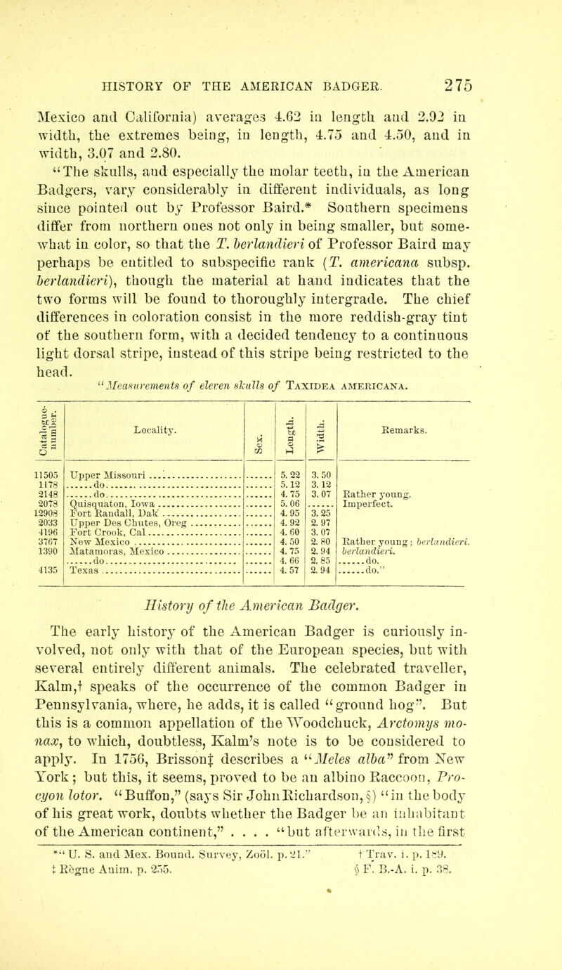 Mexico and California) avera^^es 4.62 in length and 2.02 in width, the extremes being, in length, 4.75 and 4.50, and in width, 3.07 and 2.80. ‘‘The skulls, and especially the molar teeth, in the American Badgers, vary considerably in different individuals, as long since pointed out by Professor Baird.* Southern specimens differ from northern ones not only in being smaller, but some- what in color, so that the T. herlandieri of Professor Baird may perhaps be entitled to subspecific rank (T. americana subsp. herlandieri)^ though the material at hand indicates that the two forms will be found to thoroughly intergrade. The chief differences in coloration consist in the more reddish-gray tint of the southern form, with a decided tendency to a continuous light dorsal stripe, instead of this stripe being restricted to the head. ^^Measurements of eleven slculls of Taxidea americana. History of the American Badger. The early history of the American Badger is curiously in- volved, not only with that of the European species, but with several entirely different animals. The celebrated traveller, Kalm,f speaks of the occurrence of the common Badger in Pennsylvania, where, he adds, it is called “ground hog-’. But this is a common appellation of the Woodchuck, Arctomys mo- naocj to which, doubtless, Kalm’s note is to be considered to apply. In 1756, Brisson| describes a ^^Meles from New York; but this, it seems, proved to be an albino Raccoon, Pro- cyon lotor. “Buffon,” (says Sir JohnEichardson, §) “in the body of his great work, doubts whether the Badger be an inhabitant of the American continent,’^ .... “but afterwards, in the first U. S. and Mex. Bound. Survey, Zool. p. 21.’' t Trav. i. p. Is9. X Regne Auim. p. 2r)5. ^ F. B.-A. i. p. 38.