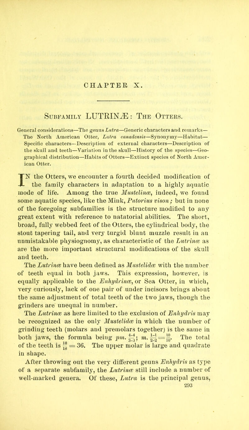 CHAPTEE X. Subfamily LUTEINS: The Otters. General considerations—The genus Lutra—Generic characters and remarks— The North American Otter, Libtra canadensis—Synonymy—Habitat— Specific characters—Description of external characters—Description of the sknll and teeth—Variation in the skull—History of the species—Geo- graphical distribution—Habits of Otters—Extinct species of North Amer- ican Otter. IX the Otters, we encounter a fourth decided modification of the family characters in adaptation to a highly aquatic mode of life. Among the true Mustelinw, indeed, we found some aquatic species, like the Mink, Patorius vison; but in none of the foregoing subfamilies is the structure modified to any great extent with reference to natatorial abilities. The short, broad, fully webbed feet of the Otters, the cylindrical body, the stout tapering tail, and very turgid blunt muzzle result in an unmistakable physiognomy, as characteristic of the Lutrinw as are the more important structural modifications of the skull and teeth. The Lutrince have been defined as Mastelidce with the number of teeth equal in both jaws. This expression, however, is equally applicable to the Pnhydrince, or Sea Otter, in which, very curiously, lack of one pair of under incisors brings about the same adjustment of total teeth of the two jaws, though the grinders are unequal in number. The Lutrinw as here limited to the exclusion of Enhydris may be recognized as the only Mustelidce in which the number of grinding teeth (molars and premolars together) is the same in both jaws, the formula being pm. m. ^ = The total of the teeth is ^ — 36. The upper molar is large and quadrate in shape. After throwing out the very different geuns Enliydris as type of a separate subfamily, the Lutrince still include a number of well-marked genera. Of these, Lutra is the principal genus,