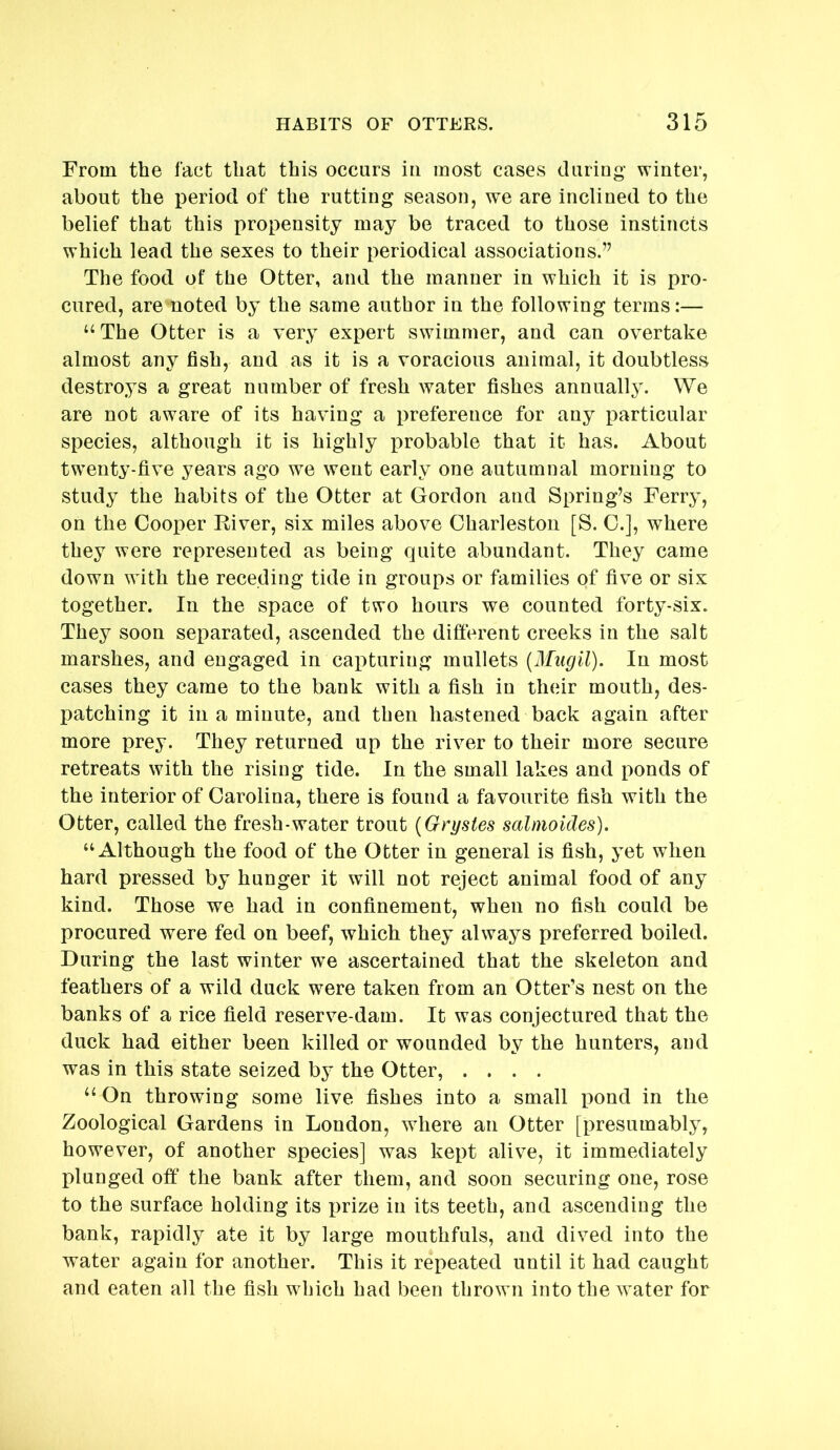 From the fact that this occurs in most cases during; winter, about the period of the rutting season, we are inclined to the belief that this propensity may be traced to those instincts which lead the sexes to their periodical associations.” The food of the Otter, and the manner in which it is pro- cured, are'noted by the same author in the following terms:— “The Otter is a very expert swimmer, and can overtake almost any fish, and as it is a voracious animal, it doubtless destroys a great number of fresh water fishes annually. We are not aware of its having a preference for any particular species, although it is highly probable that it has. About twenty-five years ago we went early one autumnal morning to study the habits of the Otter at Gordon and Spring’s Ferry, on the Cooper Fiver, six miles above Charleston [S. C.], where they were represented as being quite abundant. They came down with the receding tide in groups or families of five or six together. In the space of two hours we counted forty-six. They soon separated, ascended the different creeks in the salt marshes, and engaged in capturing mullets (Mugil). In most cases they came to the bank with a fish in their mouth, des- patching it in a minute, and then hastened back again after more prey. They returned up the river to their more secure retreats with the rising tide. In the small lakes and ponds of the interior of Carolina, there is found a favourite fish with the Otter, called the fresh-water trout {Grystes salmoides). “Although the food of the Otter in general is fish, yet when hard pressed by hunger it will not reject animal food of any kind. Those we had in confinement, when no fish could be procured were fed on beef, which they always preferred boiled. During the last winter w^e ascertained that the skeleton and feathers of a wild duck were taken from an Otter’s nest on the banks of a rice field reserve-darn. It was conjectured that the duck had either been killed or wounded by the hunters, and was in this state seized by the Otter, .... “ On throwing some live fishes into a small pond in the Zoological Gardens in London, where an Otter [presumably, however, of another species] was kept alive, it immediately plunged off the bank after them, and soon securing one, rose to the surface holding its prize in its teeth, and ascending the bank, rapidly ate it by large mouthfuls, and dived into the water again for another. This it repeated until it had caught and eaten all the fish which had been thrown into the water for