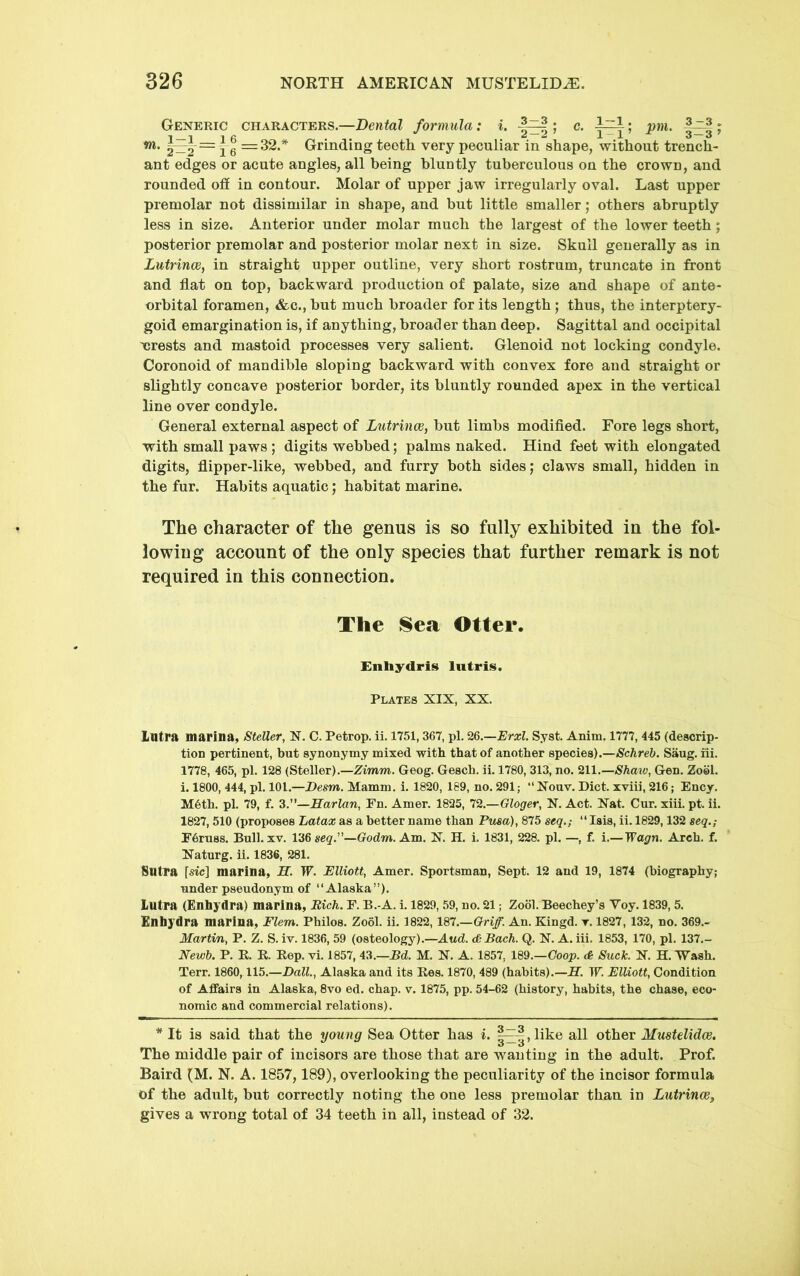 Generic characters.—Dental formula: i. ; c. ; pm. ; w*. |^= 16 =32.^ Grinding teeth very peculiar in shape, without trench- ant edges or acute angles, all being bluntly tuberculous on the crown, and rounded ofi in contour. Molar of upper jaw irregularly oval. Last upper premolar not dissimilar in shape, and but little smaller; others abruptly less in size. Anterior under molar much the largest of the lower teeth; posterior premolar and posterior molar next in size. Skull generally as in Lutrince, in straight upper outline, very short rostrum, truncate in front and flat on top, backward production of palate, size and shape of ante- orbital foramen, &c., but much broader for its length; thus, the interptery- goid emargination is, if anything, broader than deep. Sagittal and occipital xrests and mastoid processes very salient. Glenoid not locking condyle. Coronoid of mandible sloping backward with convex fore and straight or slightly concave posterior border, its bluntly rounded apex in the vertical line over condyle. General external aspect of Lutrinoe, but limbs modified. Fore legs short, with small paws; digits webbed; palms naked. Hind feet with elongated digits, flipper-like, webbed, and furry both sides; claws small, hidden in the fur. Habits aquatic; habitat marine. The character of the genus is so fully exhibited in the fol- lowing account of the only species that further remark is not required in this connection. The Sea Otter, Enbydris lutris. Plates XIX, XX. intra marina, Steller, N. C. Petrop. ii. 1751,367, pi. 2Q.—Erxl. Syst. Anim. 1777, 445 (descrip- tion pertinent, but synonymy mixed with that of another species).—Schreb. Saug. iii. 1778, 465, pi. 128 (Steller).—Zimm. Geog. Gesch. ii. 1780, 313, no. 211.—Shaiv, Gen. Zool. i. 1800, 444, pi. 101.—Desm. Mamm. i. 1820, 189, no. 291; “Nouv. Diet, xviii, 216; Ency. M6th. pi. 79, f. ^.—Harlan, En. Amer. 1825, 72.—Gloger, N. Act. Nat. Cur. xiii. pt. ii. 1827, 510 (proposes Latax as a better name than Pma), 875 seq.; “ Isis, ii. 1829,132 seq.; E6ru8S. Bull. XV. 136 seg.”—Godm. Am. N. H. i. 1831, 228. pi. —, f. i.— Wagn. Arch. f. Naturg. ii. 1836, 281. Sutra fsic] marina, S. W. Elliott, Amer. Sportsman, Sept. 12 and 19, 1874 (biography; under pseudonym of “Alaska”). Lutra (Enhydra) marina. Rich. E. B.-A. i. 1829,59, no. 21; Zool. Beechey’s Voy. 1839,5. Enhydra marina, Flem. Philos. Zool. ii. 1822, 187.—Gri/. An. Kingd. r. 1827, 132, no. 369.- Martin, P. Z. S. iv. 1836, 59 (osteology).—Aud. <&Bach. Q. N. A. iii. 1853, 170, pi. 137.- Newb. P. E. E. Eep. vi. 1857, 43.—Ed. M. N. A. 1857, 189.—Goojp. <6 Suck. N. H. Wash. Terr. 1860,115.—Dali., Alaska and its Ees. 1870, 489 (habits).—H. W. Elliott, Condition of Affairs in Alaska, 8vo ed. chap. v. 1875, pp. 54-62 (history, habits, the chase, eco- nomic and commercial relations). * It is said that the young Sea Otter has i. |^,like all other Mustelidce. The middle pair of incisors are those that are wanting in the adult. Prof. Baird (M. N. A. 1857,189), overlooking the peculiarity of the incisor formula of the adult, but correctly noting the one less premolar than in Lutrince^ gives a wrong total of 34 teeth in all, instead of 32.