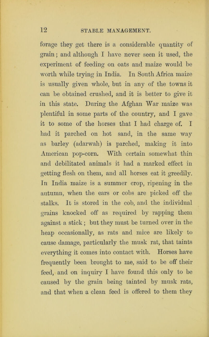 forage they get there is a considerable quantity of grain; and although I have never seen it used, the experiment of feeding on oats and maize would be worth while trying in India, In South Africa maize is usually given whole, but in any of the towns it can be obtained crushed, and it is better to give it in this state. During the Afghan War maize was plentiful in some parts of the country, and I gave it to some of the horses that I had charge of. I liad it parched on hot sand, in the same way as barley (adarwah) is parched, making it into American pop-corn. With certain somewhat thin and debilitated animals it had a marked effect in getting flesh on them, and all horses eat it greedily. In India maize is a summer crop, ripening in the autumn, when the ears or cobs are picked off the stalks. It is stored in the cob, and the individual grains knocked off as required by rapping them against a stick; but they must be turned over in the heap occasionally, as rats and mice are likely to cause damage, particularly the musk rat, that taints everything it comes into contact with. Horses have frequently been brought to me, said to be off their feed, and on inquiry I have found this only to be caused by the grain being tainted by musk rats, and that when a clean feed is offered to them they