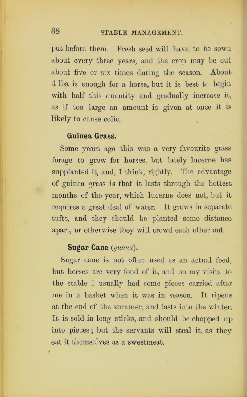 put before them. Fresh seed will have to be sown about every three years, and the crop may be cut about five or six times during the season. About 4 lbs. is enough for a horse, but it is best to begin with half this quantity and gradually increase it, as if too large an amount is given at once it is likely to cause colic. Guinea Grass. Some years ago this was a very favourite grass forage to grow for horses, but lately lucerne has supplanted it, and, I think, rightly. The advantage of guinea grass is that it lasts through the hottest months of the year, which lucerne does not, but it requires a great deal of water. It grows in separate tufts, and they should be planted some distance apart, or otherwise they will crowd each other out. Sugar Cane {gunna). Sugar cane is not often used as an actual food, but horses are very fond of it, and on my visits to the stable I usually had some pieces carried after me in a basket when it was in season. It ripens at the end of the summer, and lasts into the winter. It is sold in long sticks, and should be chopped up into pieces; but the servants will steal it, as they eat it themselves as a sweetmeat.