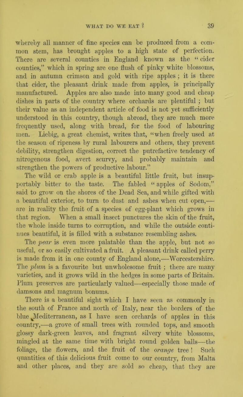 whereby all manner of fine species can be produced from a com- mon stem, has brought apples to a high state of perfection. There are several counties in England known as the “ cider counties,” which in spring are one flush of pinky white blossoms, and in autumn crimson and gold with ripe apples; it is there that cider, the pleasant drink made from apples, is principally manufactured. Apples are also made into many good and cheap dishes in parts of the country where orchards are plentiful ; but their value as an independent article of food is not yet sufficiently understood in this country, though abroad, they are much more frequently used, along with bread, for the food of labouring men. Liebig, a great chemist, writes that, “when freely used at the season of ripeness by rural labourers and othera, they prevent debility, strengthen digestion, correct the putrefactive tendency of nitrogenous food, avert scurvy, and probably maintain and strengthen the powers of productive labour.” The wild or crab apple is a beautiful little fruit, but insup- portably hitter to the taste. The fabled “ apples of Sodom,” said to gTow on the shores of the Dead Sea, and while gifted with a beautiful exterior, to turn to dust and ashes when cut open,— are in reality the fruit of a species of egg-plant which grows in that region. When a small insect punctures the skin of the frait, the whole inside turns to corruption, and while the outside conti- nues beautiful, it is filled with a substance resembling ashes. The pear is even more palatable than the apple, but not so useful, or so easily eultivated a fruit. A pleasant drink called perry is made from it in one county of England alone,—Worcestershire. The phim is a favourite but unwholesome fruit; there are many varieties, and it grows wild in the hedges in some parts of Britain. Plum preserA^es are particularly valued—especially those made of damsons and magnum bonums. There is a beautiful sight which I have seen as commoidy in the south of France and north of Italy, near the borders of the blue JVTediterranean, as I have seen orchards of apples in this country,—a grove of small trees with rounded tops, and smooth glossy dark-green leaves, and fragrant silvery white blossoms, mingled at the same time with bright round golden balls—the foliage, the flowers, and the fruit of the orange tree ! Suck (luantities of this delicious fruit come to our country, from Malta and other ](laces, and they are sold so cheap, that they are
