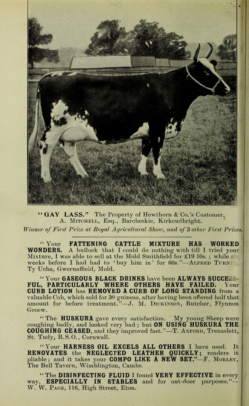 “GAY LASS.” The Property of Hewthorn & Co. ’s Customer, A. Mitchell, Esq., Barcheskie, Kirkcudbright. Winner of First Prize at Royal Agricultural Shoiv, and of 3 other First Prizes.\ “ Your FATTENING CATTLE MIXTURE HAS WORKED WONDERS. A bullock that I could do nothing with till I tried your Mixture, I was able to sell at the Mold Smithfield for £19 10s. ; while si weeks before I had had to ‘buy him in’ for 60s.”—Alfred Turn Ty Ucha, Gwernaffield, Mold. “Your GASEOUS BLACK DRINKS have been ALWAYS SUCCESS FUL, PARTICULARLY WHERE OTHERS HAYE FAILED. Your CURB LOTION has REMOVED A CURB OF LONG STANDING from a valuable Cob, which sold for 30 guineas, after having been offered half that amount for before treatment.”—J. M. Dickinson, Butcher, Ffynnon Groew. “The HUSKURA gave every satisfaction. My young Sheep were coughing badly, and looked very bad ; but ON USING HUSKURA THE COUGHING CEASED, and they improved fast.”—T. Axford, Trenaslett, St. Tudy, R.S.O., Cornwall. “Your HARNESS OIL EXCELS ALL OTHERS I have used. It RENOYATES the NEGLECTED LEATHER QUICKLY; renders it pliable; and it takes your COMPO LIKE A NEW SET.”—F. Morley, The Bell Tavern, Wimblington, Cambs. “The DISINFECTING FLUID I found VERY EFFECTIVE in every way, ESPECIALLY IN STABLES and for out-door purposes.”— W. W. Page, 116, High Street, Eton.