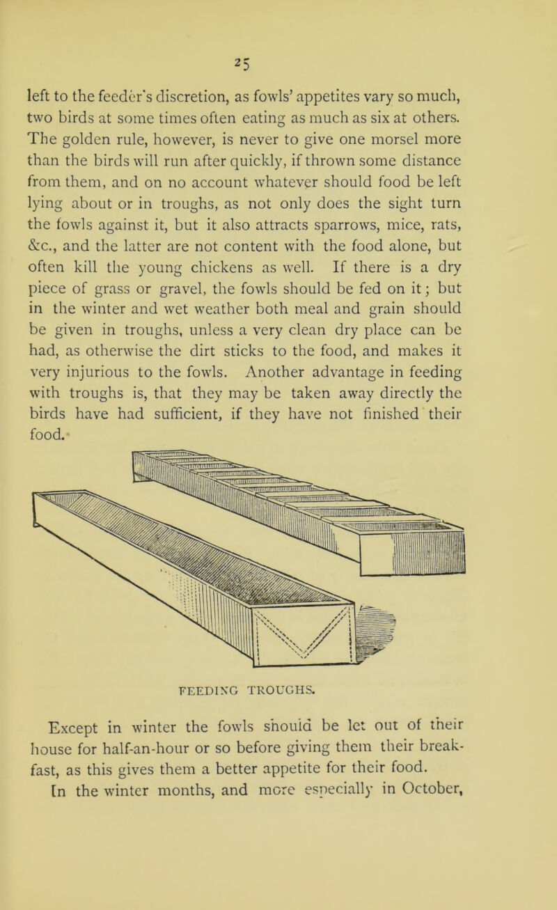 left to the feeder's discretion, as fowls’ appetites vary so much, two birds at some times often eating as much as six at others. The golden rule, however, is never to give one morsel more than the birds will run after quickly, if thrown some distance from them, and on no account whatever should food be left lying about or in troughs, as not only does the sight turn the fowls against it, but it also attracts sparrows, mice, rats, &c., and the latter are not content with the food alone, but often kill the young chickens as well. If there is a dry piece of grass or gravel, the fowls should be fed on it; but in the winter and wet weather both meal and grain should be given in troughs, unless a very clean dry place can be had, as otherwise the dirt sticks to the food, and makes it very injurious to the fowls. Another advantage in feeding with troughs is, that they may be taken away directly the birds have had sufficient, if they have not finished their food. FEEDING TROUGHS. Except in winter the fowls should be let out of their house for half-an-hour or so before giving them their break- fast, as this gives them a better appetite for their food. [n the winter months, and more especially in October,
