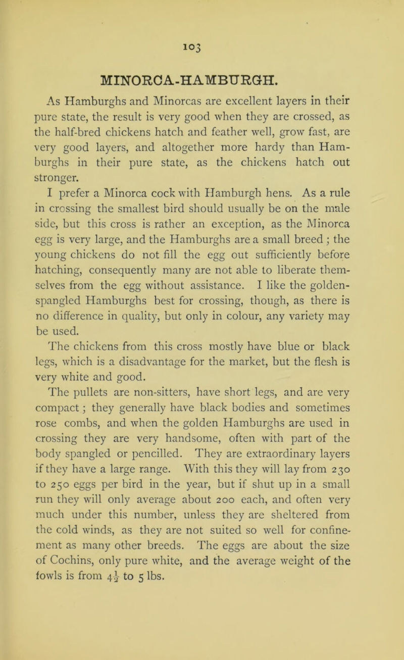 i°3 MINORCA-HAMBURGH. As Hamburghs and Minorcas are excellent layers in their pure state, the result is very good when they are crossed, as the half-bred chickens hatch and feather well, grow fast, are very good layers, and altogether more hardy than Ham- burghs in their pure state, as the chickens hatch out stronger. I prefer a Minorca cock with Hamburgh hens. As a rule in crossing the smallest bird should usually be on the male side, but this cross is rather an exception, as the Minorca egg is very large, and the Hamburghs are a small breed ; the young chickens do not fill the egg out sufficiently before hatching, consequently many are not able to liberate them- selves from the egg without assistance. I like the golden- spangled Hamburghs best for crossing, though, as there is no difference in quality, but only in colour, any variety may be used. The chickens from this cross mostly have blue or black legs, which is a disadvantage for the market, but the flesh is very white and good. The pullets are non-sitters, have short legs, and are very compact; they generally have black bodies and sometimes rose combs, and when the golden Hamburghs are used in crossing they are very handsome, often with part of the body spangled or pencilled. They are extraordinary layers if they have a large range. With this they will lay from 230 to 250 eggs per bird in the year, but if shut up in a small run they will only average about 200 each, and often very much under this number, unless they are sheltered from the cold winds, as they are not suited so well for confine- ment as many other breeds. The eggs are about the size of Cochins, only pure white, and the average weight of the fowls is from 4^- to 5 lbs.