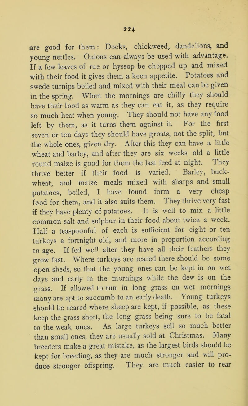 are good for them: Docks, chickweed, dandelions, and young nettles. Onions can always be used with advantage. If a few leaves of rue or hyssop be chopped up and mixed with their food it gives them a keen appetite. Potatoes and swede turnips boiled and mixed with their meal can be given in the spring. When the mornings are chilly they should have their food as warm as they can eat it, as they require so much heat when young. They should not have any food left by them, as it turns them against it. For the first seven or ten days they should have groats, not the split, but the whole ones, given dry. After this they can have a little wheat and barley, and after they are six weeks old a little round maize is good for them the last feed at night. They thrive better if their food is varied. Barley, buck- wheat, and maize meals mixed with sharps and small potatoes, boiled, I have found form a very cheap food for them, and it also suits them. They thrive very fast if they have plenty of potatoes. It is well to mix a little common salt and sulphur in their food about twice a week. Half a teaspoonful of each is sufficient for eight or ten turkeys a fortnight old, and more in proportion according to age. If fed web after they have all their feathers they grow fast. Where turkeys are reared there should be some open sheds, so that the young ones can be kept in on wet days and early in the mornings while the dew is on the grass. If allowed to run in long grass on wet mornings many are apt to succumb to an early death. Young turkeys should be reared where sheep are kept, if possible, as these keep the grass short, the long grass being sure to be fatal to the weak ones. As large turkeys sell so much better than small ones, they are usually sold at Christmas. Many breeders make a great mistake, as the largest birds should be kept for breeding, as they are much stronger and will pro- duce stronger offspring. They are much easier to rear