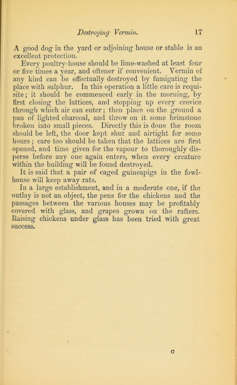 A good dog in the yard or adjoining house or stable is an excellent protection. Every poultry-house should be lime-washed at least four or five times a year, and oftener if convenient. Vermin of any kind can be effectually destroyed by fumigating the place with sulphur. In this operation a little care is requi- site ; it should be commenced early in the morning, by first closing the lattices, and stopping up every crevice through which air can enter; then place on the ground a pan of lighted charcoal, and throw on it some brimstone broken into small pieces. Directly this is done the room should be left, the door kept shut and airtight for some hours ; care too should be taken that the lattices are first opened, and time given for the vapour to thoroughly dis- perse before any one again enters, when every creature within the building will be found destroyed. It is said that a pair of caged guineapigs in the fowl- house will keep away rats. In a large establishment, and in a moderate one, if the outlay is not an object, the pens for the chickens and the passages between the various houses may be profitably covered with glass, and grapes grown on the rafters, liaising chickens under glass has been tried with great success. o