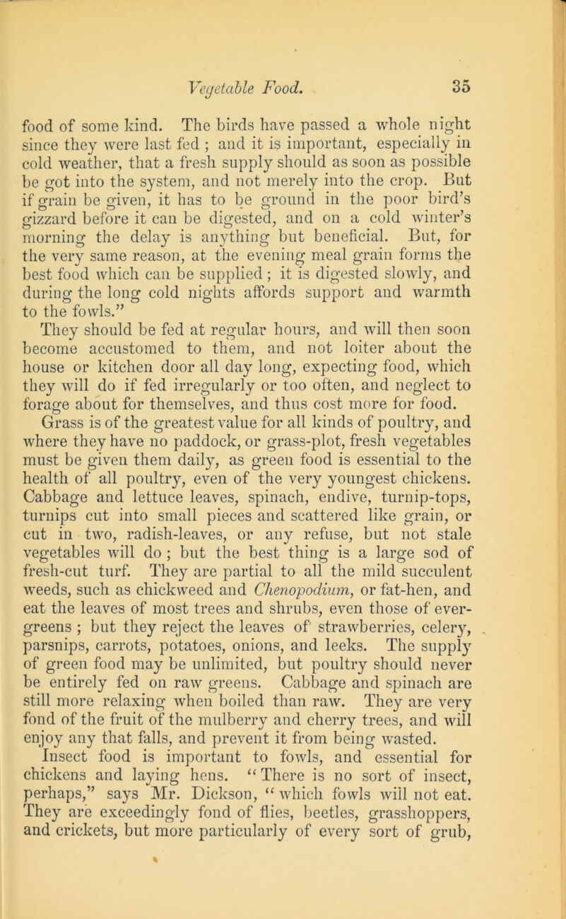 Vegetable Food. food of some kind. The birds have passed a whole night since they were last fed ; and it is important, especially in cold weather, that a fresh supply should as soon as possible be got into the system, and not merely into the crop. But if grain be given, it has to be ground in the poor bird’s gizzard before it can be digested, and on a cold winter’s morning the delay is anything but beneficial. But, for the very same reason, at the evening meal grain forms the best food which can be supplied; it is digested slowly, and during' the long cold nights affords support and warmth to the fowls.” They should be fed at regular hours, and will then soon become accustomed to them, and not loiter about the house or kitchen door all day long, expecting food, which they will do if fed irregularly or too often, and neglect to forage about for themselves, and thus cost more for food. Grass is of the greatest value for all kinds of poultry, and where they have no paddock, or grass-plot, fresh vegetables must be given them daily, as green food is essential to the health of all poultry, even of the very youngest chickens. Cabbage and lettuce leaves, spinach, endive, turnip-tops, turnips cut into small pieces and scattered like grain, or cut in two, radish-leaves, or any refuse, but not stale vegetables will do ; but the best thing is a large sod of fresh-cut turf. They are partial to all the mild succulent weeds, such as chickweed and Chenopodium, or fat-hen, and eat the leaves of most trees and shrubs, even those of ever- greens ; but they reject the leaves of strawberries, celery, parsnips, carrots, potatoes, onions, and leeks. The supply of green food may be unlimited, but poultry should never be entirely fed on raw greens. Cabbage and spinach are still more relaxing when boiled than raw. They are very fond of the fruit of the mulberry and cherry trees, and will enjoy any that falls, and prevent it from being wasted. Insect food is important to fowls, and essential for chickens and laying hens. “ There is no sort of insect, perhaps,” says Mr. Dickson, “which fowls will not eat. They are exceedingly fond of flies, beetles, grasshoppers, and crickets, but more particularly of every sort of grub,