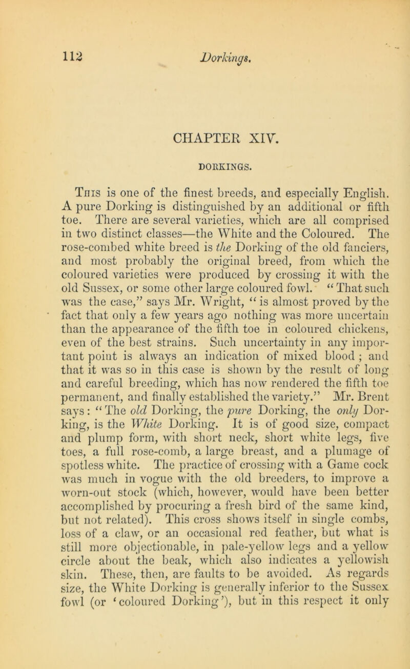 CHAPTER XIV. DORKINGS. Tins is one of the finest breeds, and especially English. A pure Dorking is distinguished by an additional or fifth toe. There are several varieties, which are all comprised in two distinct classes—the White and the Coloured. The rose-combed white breed is the Dorking of the old fanciers, and most probably the original breed, from which the coloured varieties were produced by crossing it with the old Sussex, or some other large coloured fowl. “ That such was the case,” says Mr. Wright, “ is almost proved by the fact that only a few years ago nothing was more uncertain than the appearance of the fifth toe in coloured chickens, even of the best strains. Such uncertainty in any impor- tant point is always an indication of mixed blood ; and that it was so in this case is shown by the result of long and careful breeding, which has now rendered the fifth toe permanent, and finally established the variety.” Mr. Brent says : “ The old Dorking, the pure Dorking, the only Dor- king, is the White Dorking. It is of good size, compact and plump form, with short neck, short white legs, five toes, a full rose-comb, a large breast, and a plumage of spotless white. The practice of crossing with a Game cock was much in vogue with the old breeders, to improve a worn-out stock (which, however, would have been better accomplished by procuring a fresh bird of the same kind, but not related). This cross shows itself in single combs, loss of a claw, or an occasional red feather, but what is still more objectionable, in pale-yellow legs and a yellow circle about the beak, which also indicates a yellowish skin. These, then, are faults to be avoided. As regards size, the White Dorking is generally inferior to the Sussex fowl (or ‘coloured Dorking’), but in this respect it only