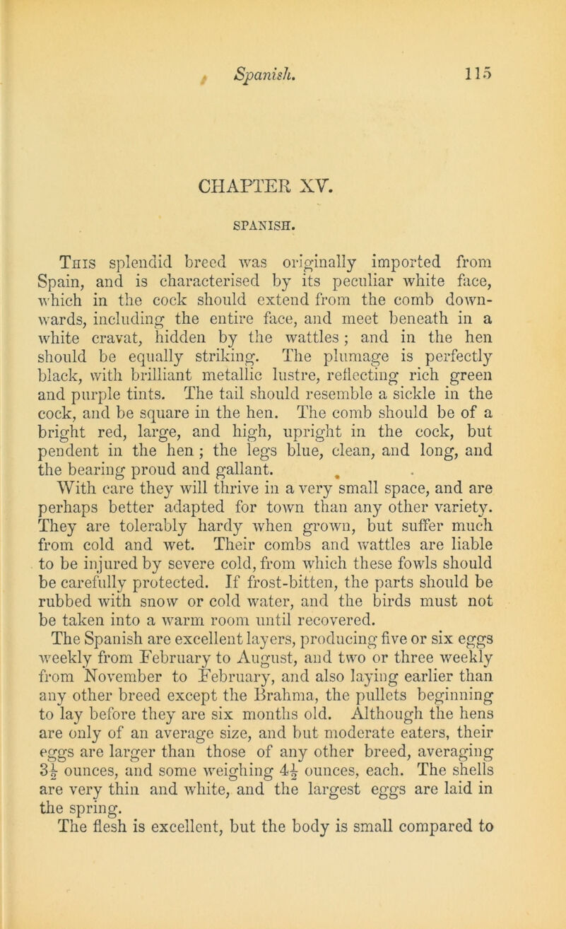 CHAPTER XV. SPANISH. This splendid breed was originally imported from Spain, and is characterised by its peculiar white face, which in the cock should extend from the comb down- wards, including the entire face, and meet beneath in a white cravat, hidden by the wattles; and in the hen should be equally striking. The plumage is perfectly black, with brilliant metallic lustre, reflecting rich green and purple tints. The tail should resemble a sickle in the cock, and be square in the hen. The comb should be of a bright red, large, and high, upright in the cock, but pendent in the hen ; the legs blue, clean, and long, and the bearing proud and gallant. With care they will thrive in a very small space, and are perhaps better adapted for town than any other variety. They are tolerably hardy when grown, but suffer much from cold and wet. Their combs and wattles are liable to be injured by severe cold, from which these fowls should be carefully protected. If frost-bitten, the parts should be rubbed with snow or cold water, and the birds must not be taken into a warm room until recovered. The Spanish are excellent layers, producing five or six eggs weekly from February to August, and two or three weekly from November to February, and also laying earlier than any other breed except the Brahma, the pullets beginning to lay before they are six months old. Although the hens are only of an average size, and but moderate eaters, their eggs are larger than those of any other breed, averaging ounces, and some weighing 44 ounces, each. The shells are very thin and white, and the largest eggs are laid in the spring. The flesh is excellent, but the body is small compared to