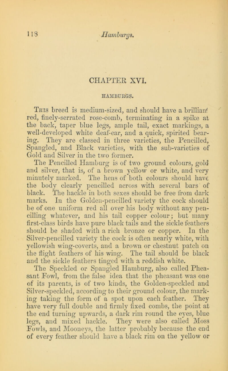 CHAPTER XVI. HAMEURGS. This breed is medium-sized, and should have a brillianf red, finely-serrated rose-comb, terminating in a spike at the back, taper blue legs, ample tail, exact markings, a well-developed white deaf-ear, and a quick, spirited bear- ing. They are classed in three varieties, the Pencilled, Spangled, and Black varieties, with the sub-varieties of Gold and Silver in the two former. The Pencilled Hamburg is of two ground colours, gold and silver, that is, of a brown yellow or white, and very minutely marked. The hens of both colours should have the body clearly pencilled across with several bars of black. The hackle in both sexes should be free from dark marks. In the Golden-pencilled variety the cock should be of one uniform red all over his body without any pen- cilling whatever, and his tail copper colour; but many first-class birds have pure black tails and the sickle feathers should be shaded with a rich bronze or copper. In the Silver-pencilled variety the cock is often nearly white, with yellowish wing-coverts, and a brown or chestnut patch on the flight feathers of his wing. The tail should be black and the sickle feathers tinged with a reddish white. The Speckled or Spangled Hamburg, also called Phea- sant Fowl, from the false idea that the pheasant was one of its parents, is of two kinds, the Golden-speckled and Silver-speckled, according to their ground colour, the mark- ing taking the form of a spot upon each feather. They have very full double and firmly fixed combs, the point at the end turning upwards, a dark rim round the eyes, blue legs, and mixed hackle. They were also called Moss Fowls, and Mooneys, the latter probably because the end of every feather should have a black rim on the yellow or