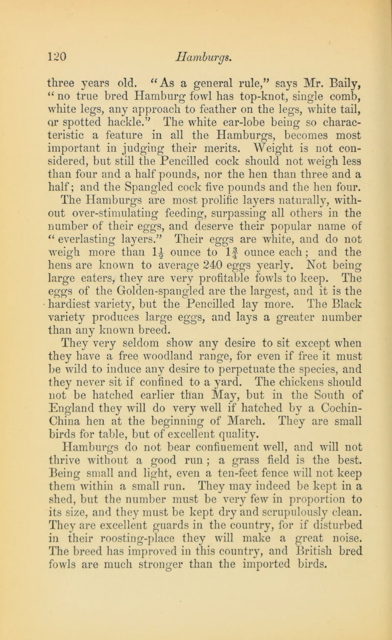 three years old. “As a general rule/’ says Mr. Baily, “ no true bred Hamburg fowl has top-knot, single comb, white legs, any approach to feather on the legs, white tail, or spotted hackle.” The white ear-lobe being so charac- teristic a feature in all the Hamburgs, becomes most important in judging their merits. Weight is not con- sidered, but still the Pencilled cock should not weigh less than four and a half pounds, nor the hen than three and a half; and the Spangled cock five pounds and the hen four. The Hamburgs are most prolific layers naturally, with- out over-stimulating feeding, surpassing all others in the number of their eggs, and deserve their popular name of “ everlasting layers.” Their eggs are white, and do not weigh more than 1^ ounce to If ounce each; and the hens are known to average 240 eggs yearly. Not being large eaters, they are very profitable fowls to keep. The eggs of the Golden-spangled are the largest, and it is the hardiest variety, but the Pencilled lay more. The Black variety produces large eggs, and lays a greater number than any known breed. They very seldom show any desire to sit except when they have a free woodland range, for even if free it must be wild to induce any desire to perpetuate the species, and they never sit if confined to a yard. The chickens should not be hatched earlier than May, but in the South of England they will do very well if hatched by a Cochin- China hen at the beginning of March. They are small birds for table, but of excellent quality. Hamburgs do not bear confinement well, and will not thrive without a good run ; a grass field is the best. Being small and light, even a ten-feet fence will not keep them within a small run. They may indeed be kept in a shed, but the number must be very few in proportion to its size, and they must be kept dry and scrupulously clean. They are excellent guards in the country, for if disturbed in their roosting-place they will make a great noise. The breed has improved in this country, and British bred fowls are much stronger than the imported birds.