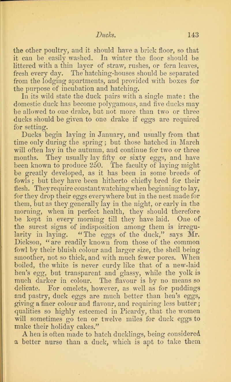 the other poultry, and it should have a brick floor, so that it can be easily washed. In winter the floor should be littered with a thin layer of straw, rushes, or fern leaves, fresh every day. The hatching-houses should be separated from the lodging apartments, and provided with boxes for the purpose of incubation and hatching. In its wild state the duck pairs with a single mate: the domestic duck has become polygamous, and five ducks may be allowed to one drake, but not more than two or three ducks should be given to one drake if eggs are required for setting. Ducks begin laying in January, and usualty from that time only during the spring ; but those hatched in March will often lay in the autumn, and continue for two or three months. They usually lay fifty or sixty eggs, and have been known to produce 250. The faculty of laying might be greatly developed, as it has been in some breeds of fowls ; but they have been hitherto chiefly bred for their flesh. They require constant watching when beginning to lay, for they drop their eggs everywhere but in the nest made for them, but as they generally lay in the night, or early in the morning, when in perfect health, they should therefore be kept in every morning till they have laid. One of the surest signs of indisposition among them is irregu- larity in laying. “The eggs of the duck,” says Mr. Dickson, “are readily known from those of the common fowl by their bluish colour and larger size, the shell being smoother, not so thick, and with much fewer pores. When boiled, the white is never curdy like that of a new-laid hen’s egg, but transparent and glassy, while the yolk is much darker in colour. The flavour is by no means so delicate. Tor omelets, however, as well as for puddings and pastry, duck eggs are much better than hen’s eggs, giving a finer colour and flavour, and requiring less butter ; qualities so highly esteemed in Picardy, that the women will sometimes go ten or twelve miles for duck eggs to make their holiday cakes.” A hen is often made to hatch ducklings, being considered a better nurse than a duck, which is apt to take them