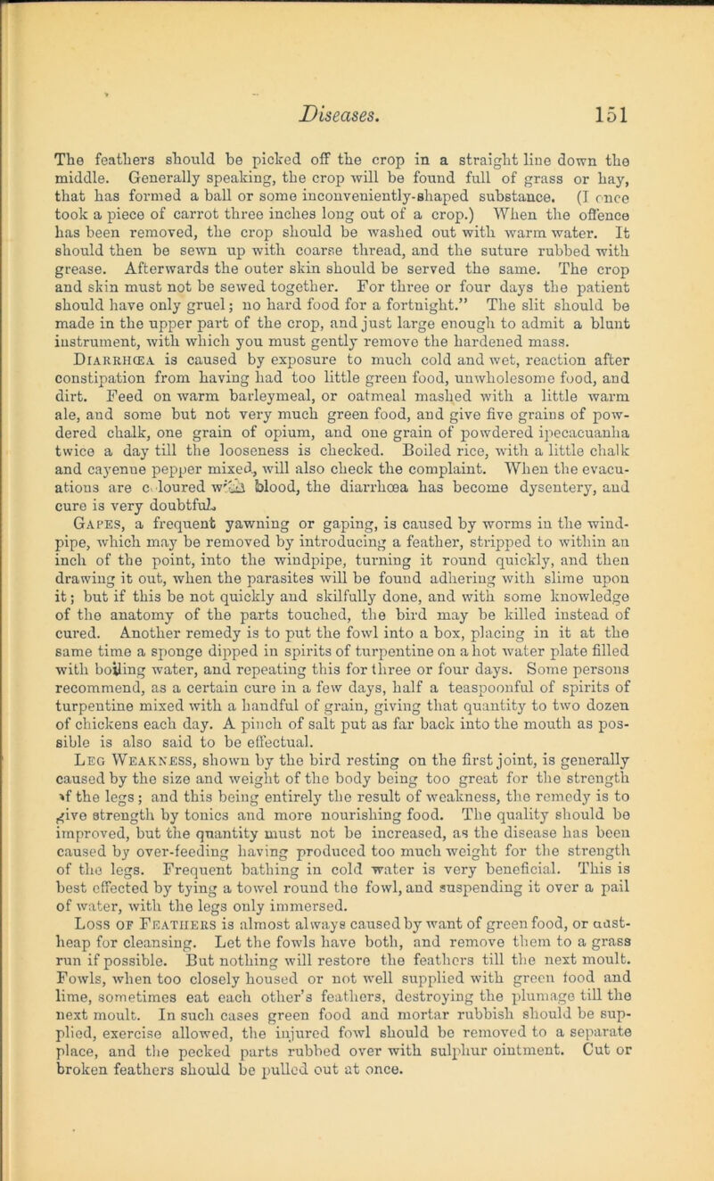The feathers should be picked off the crop in a straight line down the middle. Generally speaking, the crop will be found full of grass or hay, that has formed a ball or some inconveniently-shaped substance. (I once took a piece of carrot three inches long out of a crop.) When the offence has been removed, the crop should be washed out with warm water. It should then be sewn up with coarse thread, and the suture rubbed with grease. Afterwards the outer skin should be served the same. The crop and skin must not be sewed together. For three or four days the patient should have only gruel; no hard food for a fortnight.” The slit should be made in the upper part of the crop, and just large enough to admit a blunt instrument, with which you must gently remove the hardened mass. Diarrhcea is caused by exposure to much cold and wet, reaction after constipation from having had too little green food, unwholesome food, and dirt. Feed on warm barleymeal, or oatmeal mashed with a little warm ale, and some but not very much green food, and give five grains of pow- dered chalk, one grain of opium, and one grain of powdered ipecacuanha twice a day till the looseness is checked. Boiled rice, with a little chalk and cayenne pepper mixed, will also check the complaint. When the evacu- ations are c loured w'ili blood, the diarrhoea has become dysentery, and cure is very doubtful, Gapes, a frequent yawning or gaping, is caused by worms in the wind- pipe, which may be removed by introducing a feather, stripped to within an inch of the point, into the windpipe, turning it round quickly, and then drawing it out, when the parasites will be found adhering with slime upon it; but if this be not quickly aud skilfully done, and with some knowledge of the anatomy of the parts touched, the bird may be killed instead of cured. Another remedy is to put the fowl into a box, placing in it at the same time a sponge dipped in spirits of turpentine on a hot water plate filled with boiling water, and repeating this for three or four days. Some persons recommend, as a certain cure in a few days, half a teaspoonful of spirits of turpentine mixed with a handful of grain, giving that quantity to two dozen of chickens each day. A pinch of salt put as far back into the mouth as pos- sible is also said to be effectual. Leg Weakness, shown by the bird resting on the first joint, is generally caused by the size and weight of the body being too great for the strength the legs; and this being entirely the result of weakness, the remedy is to give strength by tonics and more nourishing food. The quality should be improved, but the quantity must not be increased, as the disease has been caused by over-feeding having produced too much weight for the strength of the legs. Frequent bathing in cold water is very beneficial. This is best effected by tying a towel round the fowl, and suspending it over a pail of water, with the legs only immersed. Loss of Feathers is almost always caused by want of green food, or aust- heap for cleansing. Let the fowls have both, and remove them to a grass run if possible. But nothing will restore the feathers till the next moult. Fowls, when too closely housed or not well supplied with green food and lime, sometimes eat each other’s feathers, destroying the plumage till the next moult. In such cases green food and mortar rubbish should be sup- plied, exercise allowed, the injured fowl should be removed to a separate place, and the pecked parts rubbed over with sulphur ointment. Cut or broken feathers should be pulled out at once.
