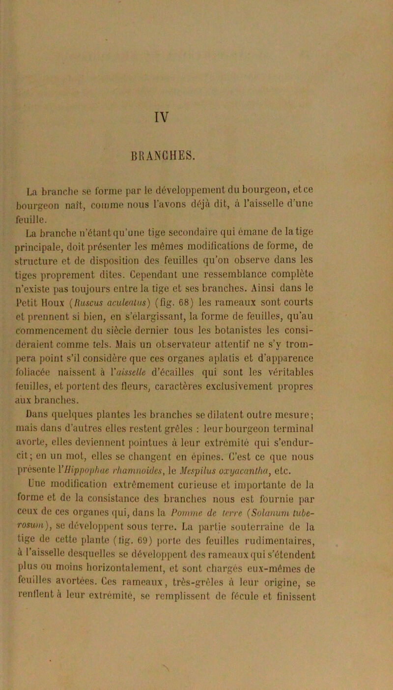 IV BRANCHES. La branche se forme par le développement du bourgeon, et ce bourgeon naît, comme nous l'avons déjà dit, à l’aisselle d'une feuille. La branche n’étant qu’une tige secondaire qui émane de latige principale, doit présenter les mêmes modifications de forme, de structure et de disposition des feuilles qu’on observe dans les tiges proprement dites. Cependant une ressemblance complète n’existe pas toujours entre la tige et ses branches. Ainsi dans le Petit Houx ( ftuscus aculealus) (fig. 68) les rameaux sont courts et prennent si bien, en s’élargissant, la forme de feuilles, qu’au commencement du siècle dernier tous les botanistes les consi- déraient comme tels. Mais un observateur attentif ne s’y trom- pera point s’il considère que ces organes aplatis et d'apparence foliacée naissent à Vaisselle d’écailles qui sont les véritables feuilles, et portent des fleurs, caractères exclusivement propres aux branches. Dans quelques plantes les branches se dilatent outre mesure; mais dans d’autres elles restent grêles : leur bourgeon terminal avorte, elles deviennent pointues à leur extrémité qui s’endur- cit; en un mot, elles se changent en épines. C’est ce que nous présente 1 ’Hippophae rhamnoides, le Mespilus oxyacantha, etc. Une modification extrêmement curieuse et importante de la forme et de la consistance des branches nous est fournie par ceux de ces organes qui, dans la Pomme de terre (Solanuvi lube- rosum), se développent sous terre. La partie souterraine de la tige de cette plante (fig. 69) porte des feuilles rudimentaires, à l’aisselle desquelles se développent des rameaux qui s'étendent plus ou moins horizontalement, et sont chargés eux-mêmes de feuilles avortées. Ces rameaux, très-grêles à leur origine, se renflent à leur extrémité, se remplissent de fécule et finissent