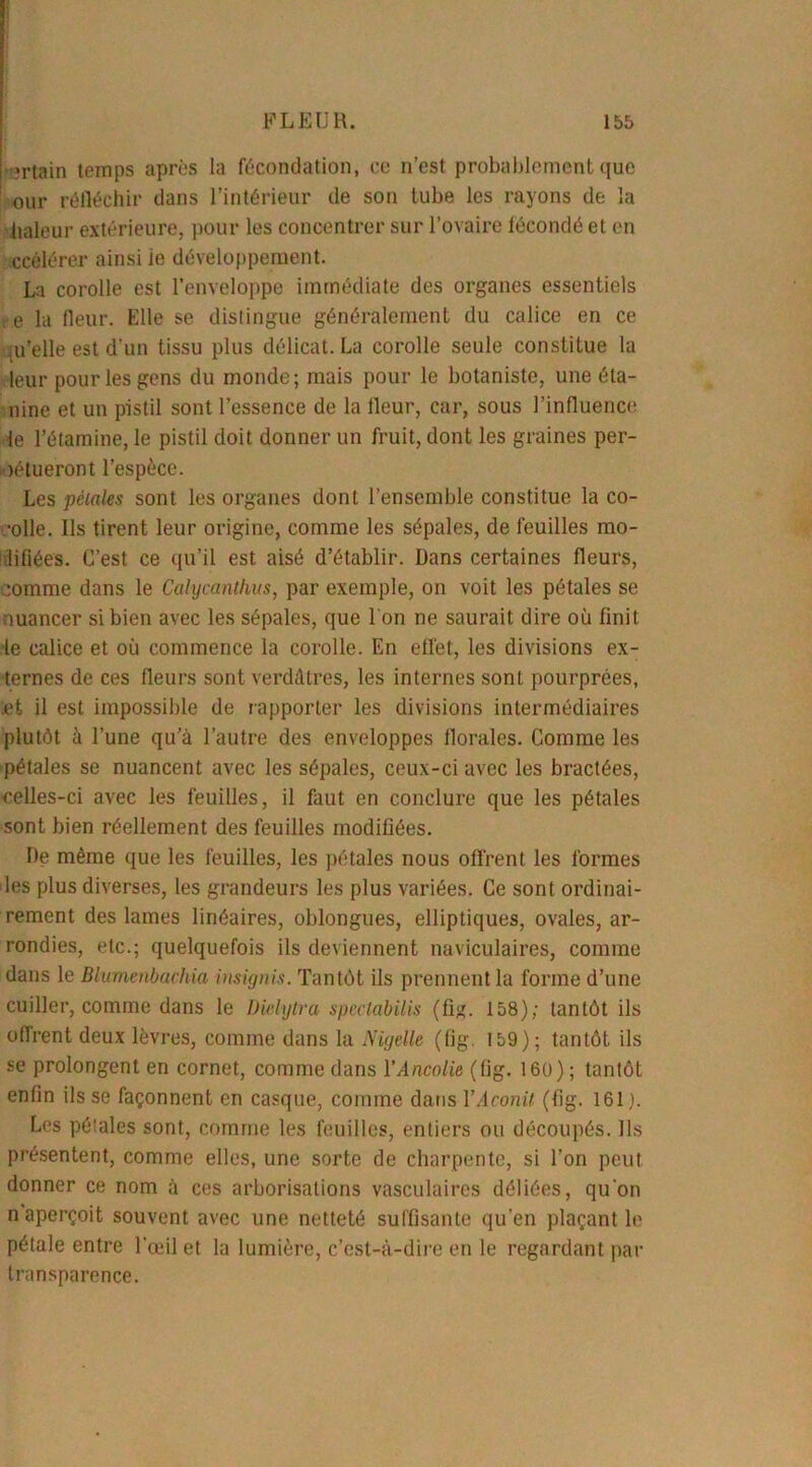 ;rtain temps après la fécondation, ce n’est probablement que our réfléchir dans l’intérieur de son tube les rayons de la haleur extérieure, pour les concentrer sur l’ovaire fécondé et en ccélérer ainsi ie développement. La corolle est l’enveloppe immédiate des organes essentiels , e la fleur. Elle se distingue généralement du calice en ce .u’elle est d'un tissu plus délicat. La corolle seule constitue la leur pour les gens du monde; mais pour le botaniste, une éla- nine et un pistil sont l’essence de la fleur, car, sous l’influence de l’étamine, le pistil doit donner un fruit, dont les graines per- pétueront l’espèce. Les pétales sont les organes dont l’ensemble constitue la co- rolle. Us tirent leur origine, comme les sépales, de feuilles mo- difiées. C’est ce qu’il est aisé d’établir. Dans certaines fleurs, :omme dans le Calycanthus, par exemple, on voit les pétales se nuancer si bien avec les sépales, que l'on ne saurait dire où finit le calice et où commence la corolle. En effet, les divisions ex- ternes de ces fleurs sont verdâtres, les internes sont pourprées, et il est impossible de rapporter les divisions intermédiaires plutôt à l’une qu’à l’autre des enveloppes florales. Comme les pétales se nuancent avec les sépales, ceux-ci avec les bractées, •celles-ci avec les feuilles, il faut en conclure que les pétales sont bien réellement des feuilles modifiées. De même que les feuilles, les pétales nous offrent les formes les plus diverses, les grandeurs les plus variées. Ce sont ordinai- rement des lames linéaires, oblongues, elliptiques, ovales, ar- rondies, etc.; quelquefois ils deviennent naviculaires, comme dans le Blumenbachia insignis. Tantôt ils prennent la forme d’une cuiller, comme dans le Dielytra speetabilis (fig. 158); tantôt ils offrent deux lèvres, comme dans la Niyelle (fîg. 159); tantôt ils se prolongent en cornet, comme dans 1 ’Ancolie (fig. 160); tantôt enfin ils se façonnent en casque, comme dans Y Aconit (fig. 161;. Les pétales sont, comme les feuilles, entiers ou découpés. Ils présentent, comme elles, une sorte de charpente, si l’on peut donner ce nom à ces arborisations vasculaires déliées, qu'on n aperçoit souvent avec une netteté suffisante qu'en plaçant le pétale entre l’œil et la lumière, c’est-à-dire en le regardant par transparence.