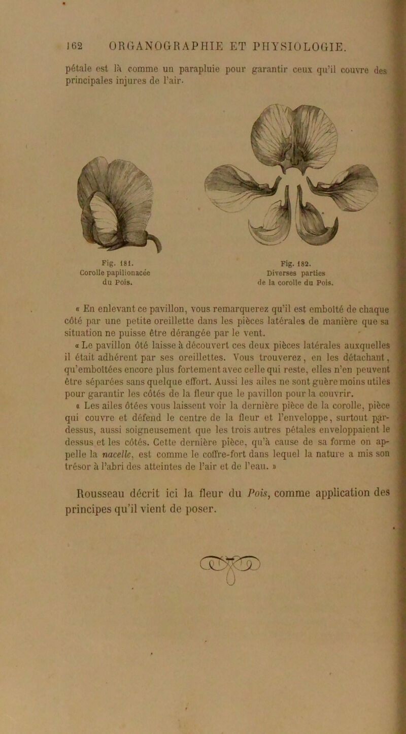 pétale est là comme un parapluie pour garantir ceux qu’il couvre des principales injures de l’air. n En enlevant ce pavillon, vous remarquerez qu’il est emboîté de chaque côté par une petite oreillette dans les pièces latérales de manière que sa situation ne puisse être dérangée par le vent. « Le pavillon ôté laisse à découvert ces deux pièces latérales auxquelles il était adhérent par ses oreillettes. Vous trouverez, en les détachant, qu’emboîtées encore plus fortement avec celle qui reste, elles n’en peuvent être séparées sans quelque effort. Aussi les ailes ne sont guère moins utiles pour garantir les côtés de la fleur que le pavillon pour la couvrir. « Les ailes ôtées vous laissent voir la dernière pièce de la corolle, pièce qui couvre et défend le centre de la fleur et l’enveloppe, surtout par- dessus, aussi soigneusement que les trois autres pétales enveloppaient le dessus et les côtés. Cette dernière pièce, qu'à cause de sa forme on ap- pelle la nacelle, est comme le coffre-fort dans lequel la nature a mis son trésor à l’abri des atteintes de l’air et de l’eau. » Rousseau décrit ici la fleur du Pois, comme application des principes qu’il vient de poser. Fig. 181. Corolle papilionacée du Pois. Fig. 182. Diverses parties de la corolle du Pois.