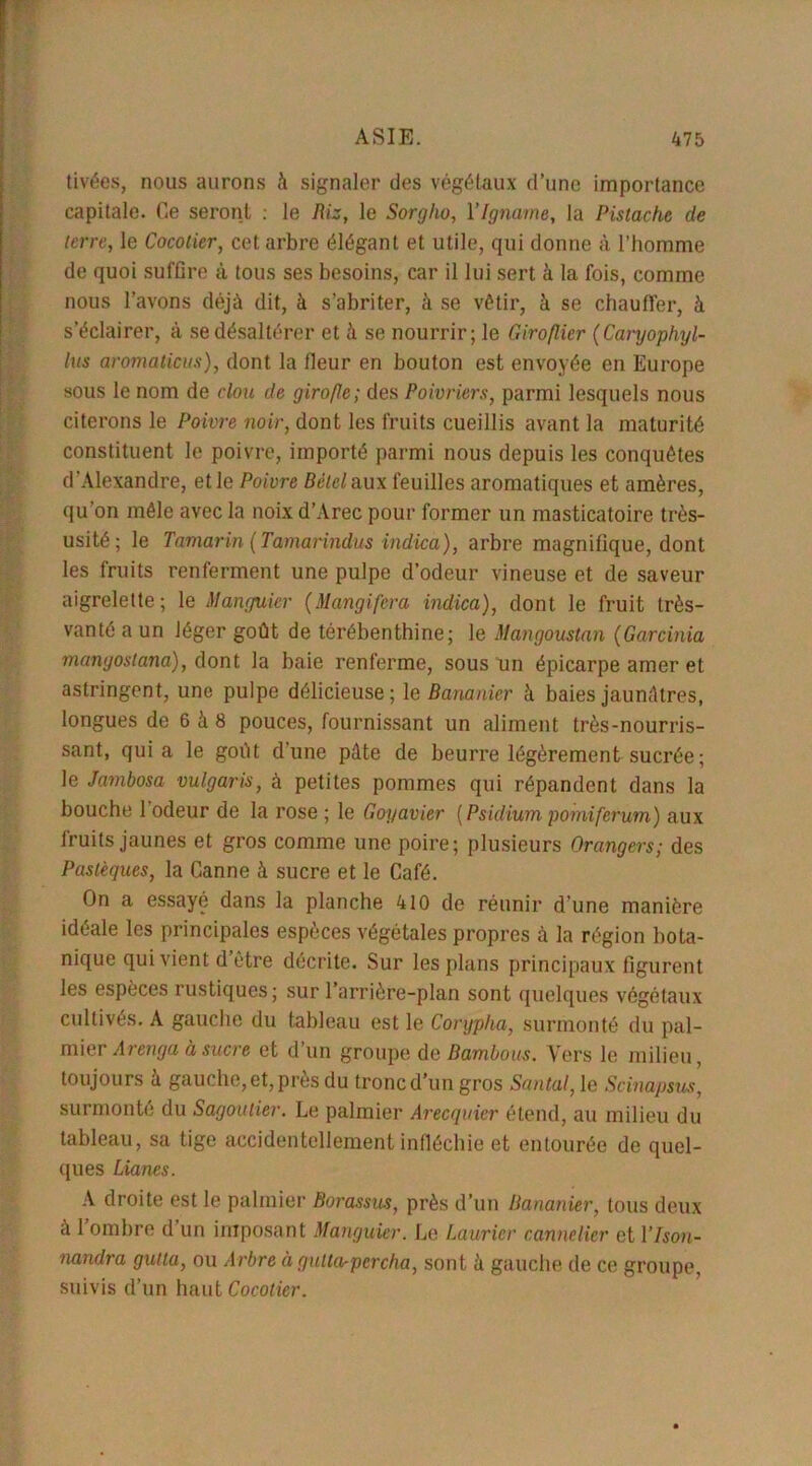 tivées, nous aurons à signaler des végétaux d’une importance capitale. Ce seront : le Riz, le Sorgho, l’Igname, la Pistache de terre, le Cocotier, cet arbre élégant et utile, qui donne à l’homme de quoi suffire à tous ses besoins, car il lui sert à la fois, comme nous l’avons déjà dit, à s’abriter, à se vêtir, à se chauffer, à s’éclairer, à se désaltérer et à se nourrir; le Giroflier (Caryophyl- lus aromaticus), dont la fleur en bouton est envoyée en Europe sous le nom de clou de girofle; des Poivriers, parmi lesquels nous citerons le Poivre noir, dont les fruits cueillis avant la maturité constituent le poivre, importé parmi nous depuis les conquêtes d’Alexandre, et le Poivre Bétel aux feuilles aromatiques et amères, qu’on mêle avec la noix d’Arec pour former un masticatoire très- usité; le Tamarin (Ta/marindus indica), arbre magnifique, dont les fruits renferment une pulpe d’odeur vineuse et de saveur aigrelette; le Manguier (Mangifera indica), dont le fruit très- vanté a un léger goût de térébenthine; le Mangoustan (Garcinia mangostana), dont la baie renferme, sous un épicarpe amer et astringent, une pulpe délicieuse; le Bananier à baies jaunâtres, longues de 6 à 8 pouces, fournissant un aliment très-nourris- sant, quia le goût d'une pâte de beurre légèrement sucrée ; le Jambosa vulgaris, à petites pommes qui répandent dans la bouche 1 odeur de la rose ; le Goyavier (Psidium pomiferum) aux fruits jaunes et gros comme une poire; plusieurs Orangers; des Pastèques, la Canne à sucre et le Café. On a essayé dans la planche 410 de réunir d’une manière idéale les principales espèces végétales propres à la région bota- nique qui vient d être décrite. Sur les plans principaux figurent les espèces rustiques; sur Carrière-plan sont quelques végétaux cultivés. A gauche du tableau est le Corypha, surmonté du pal- mier Arenga à sucre et d un groupe de Bambous. Vers le milieu, toujours à gauche, et, près du tronc d’un gros Santal, le Scinapsus, surmonte du Sagouticr. Le palmier Arecquier étend, au milieu du tableau, sa tige accidentellement infléchie et entourée de quel- ques Lianes. A droite est le palmier Borassus, près d’un Bananier, tous deux à I ombre d’un imposant Manguier. Le Laurier cannelier et l’Ison- nandra gutta, ou Arbre à gulta-pcrcha, sont à gauche de ce groupe, suivis d’un haut Cocotier.