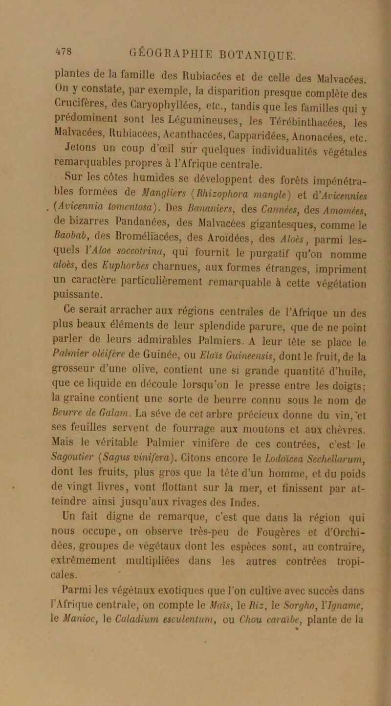 plantes de la famille des Rubiacées et de celle des Malvacées. On y constate, par exemple, la disparition presque complète des Crucifères, des Caryophyllées, etc., tandis que les familles qui y prédominent sont les Légumineuses, les Térébinthacées, les Malvacées, Rubiacées, Acanthacées, Capparidées, AnouRcées* etc. Jetons un coup d’œil sur quelques individualités végétales remarquables propres à l’Afrique centrale. Sur les côtes humides se développent des forêts impénétra- bles formées de Mangliers (Rhizophora mangle) et d’Avicennies (Avicennia tomentosa). Des Bananiers, des Cannées, des Amomées, de bizarres Pandanées, des Malvacées gigantesques, comme le Baobab, des Broméliacées, des Aroïdées, des Aloès, parmi les- quels YAloe soccotrina, qui fournit le purgatif qu’on nomme aloès, des Euphorbes charnues, aux formes étranges, impriment un caractère particulièrement remarquable à cette végétation puissante. Ce serait arracher aux régions centrales de l’Afrique un des plus beaux éléments de leur splendide parure, que de ne point parler de leurs admirables Palmiers. A leur tête se place le Palmier oléifère de Guinée, ou Etais Guineensis, dont le fruit, de la grosseur d’une olive, contient une si grande quantité d’huile, que ce liquide eu découle lorsqu’on le presse entre les doigts; la graine contient une sorte de beurre connu sous Je nom de Beurre de Galam. La sève de cet arbre précieux donne du vin,'et ses feuilles servent de fourrage aux moutons et aux chèvres. Mais Je véritable Palmier vinifère de ces contrées, c’est le Sagoutier (Sagus vinifera). Citons encore le Lodoïcea Sechellarum, dont les fruits, plus gros que la tête d’un homme, et du poids de vingt livres, vont flottant sur la mer, et finissent par at- teindre ainsi jusqu’aux rivages des Indes. Un fait digne de remarque, c’est que dans la région qui nous occupe, on observe très-peu de Fougères et d’Orcbi- dées, groupes de végétaux dont les espèces sont, au contraire, extrêmement multipliées dans les autres contrées tropi- cales. Parmi les végétaux exotiques que l’on cultive avec succès dans l’Afrique centrale, on compte le Maïs, le Riz, le Sorgho, Y Igname, le Manioc, le Caladium esculentum, ou Chou caraïbe, plante de la