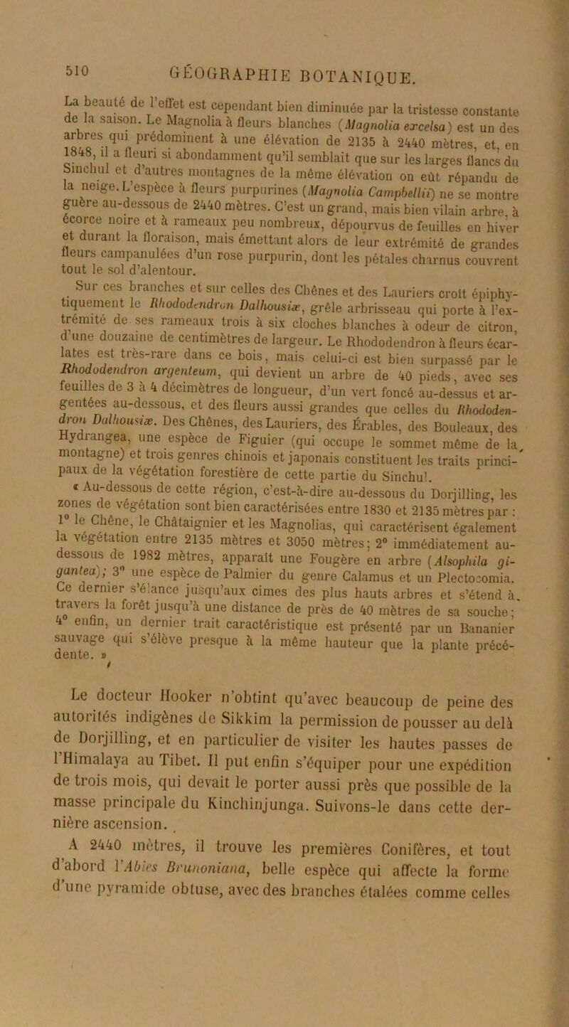 La beauté de l’effet est cependant bien diminuée par la tristesse constante de lu saison. Le Magnolia à fleurs blanches (Magnolia ercelsa) est un des ?Q,oeS,qU!i prédominent à une élévation de 2135 à 2440 mètres, et, en 1848 i a fleuri si abondamment qu’il semblait que sur les larges flancs du binehul et d autres montagnes de la même élévation on eût répandu de la neige. L espèce à fleurs purpurines (Magnolia Campbellii) ne se montre guère au-dessous de 2440 mètres. C’est un grand, mais bien vilain arbre à écorce noire et à rameaux peu nombreux, dépourvus de feuilles en hiver et durant la floraison, mais émettant alors de leur extrémité de grandes fleurs campanulées d’un rose purpurin, dont les pétales charnus couvrent tout le sol d’alentour. Sur ces branches et sur celles des Chênes et des Lauriers croit épiphv- tiquement le Rhododendron Dalhousiæ, grêle arbrisseau qui porte à l’ex- trémité de ses rameaux trois à six cloches blanches à odeur de citron d une douzaine de centimètres de largeur. Le Rhododendron à fleursécar- „îes, e,st ^’és-rare dans ce bois, mais celui-ci est bien surpassé par le Rhododendron argenteum, qui devient un arbre de 40 pieds, avec ses feuilles de 3 à 4 décimètres de longueur, d’un vert foncé au-dessus et ar- gentées au-dessous. et des fleurs aussi grandes que celles du Rhododen- di-on Dulhounai. Des Chênes, des Lauriers, des Érables, des Bouleaux, des Hydrangea, une espèce de Figuier (qui occupe le sommet même de la montagne) et trois genres chinois et japonais constituent les traits princi- paux de la végétation forestière de cette partie du Sinchu!. » Au-dessous de cette région, c’est-à-dire au-dessous du Dorjilling, les zones de végétation sont bien caractérisées entre 1830 et 2135 mètres par : 1 t Chêne, le Châtaignier et les Magnolias, qui caractérisent également la végétation entre 2135 mètres et 3050 mètres; 2° immédiatement au- dessous de 1982 mètres, apparaît une Fougère en arbre (Alsophila gi- ganteaj, 3 une espèce de Palmier du genre Galamus et un Plectocomia. Ce dernier s’élance jusqu’aux cimes des plus hauts arbres et s’étend à. travers la forêt jusqu’à une distance de près de 40 mètres de sa souche;' 4 enfin, un dernier trait caractéristique est présenté par un Bananier sauvage qui s’élève presque à la même hauteur que la plante précé- dente. n 1 1 Le docteur Hooker n obtint qu’avec beaucoup de peine des au toi ités indigènes de Sikkini la permission de pousser au delà de Doijilling, et en particulier de visiter les hautes passes de 1 Himalaya au Tibet. Il put enfin s’équiper pour une expédition de trois mois, qui devait le porter aussi près que possible de la masse principale du Kinchinjunga. Suivons-le dans cette der- nière ascension. A 2440 mètres, il trouve les premières Conifères, et tout d abord 1 Abu-s Brunoniana, belle espèce qui affecte la forme d une pyramide obtuse, avec des branches étalées comme celles