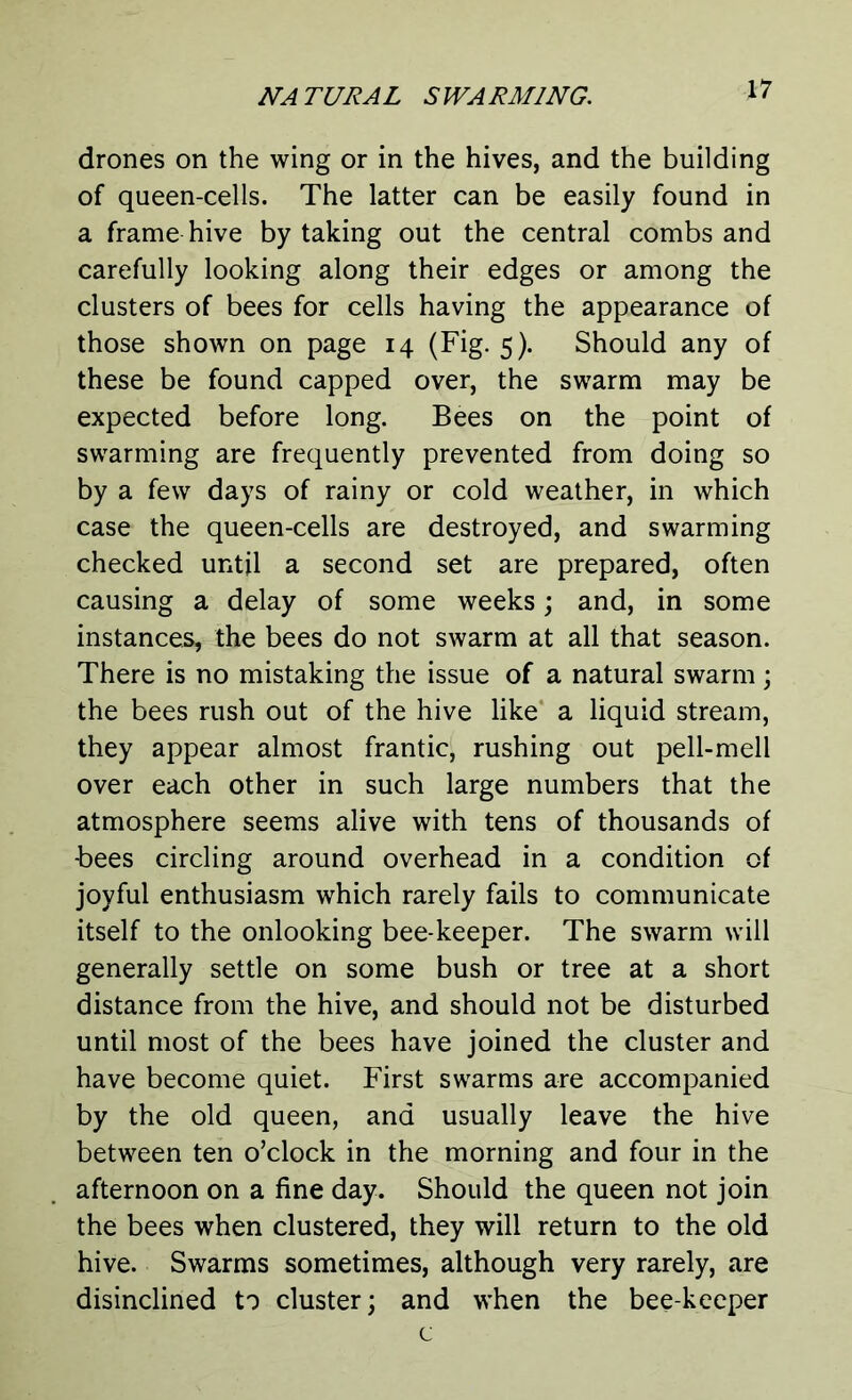 drones on the wing or in the hives, and the building of queen-cells. The latter can be easily found in a frame hive by taking out the central combs and carefully looking along their edges or among the clusters of bees for cells having the appearance of those shown on page 14 (Fig. 5). Should any of these be found capped over, the swarm may be expected before long. Bees on the point of swarming are frequently prevented from doing so by a few days of rainy or cold weather, in which case the queen-cells are destroyed, and swarming checked until a second set are prepared, often causing a delay of some weeks; and, in some instances, the bees do not swarm at all that season. There is no mistaking the issue of a natural swarm; the bees rush out of the hive like a liquid stream, they appear almost frantic, rushing out pell-mell over each other in such large numbers that the atmosphere seems alive with tens of thousands of -bees circling around overhead in a condition of joyful enthusiasm which rarely fails to communicate itself to the onlooking bee-keeper. The swarm will generally settle on some bush or tree at a short distance from the hive, and should not be disturbed until most of the bees have joined the cluster and have become quiet. First swarms are accompanied by the old queen, and usually leave the hive between ten o’clock in the morning and four in the afternoon on a fine day. Should the queen not join the bees when clustered, they will return to the old hive. Swarms sometimes, although very rarely, are disinclined to cluster; and when the bee-keeper c