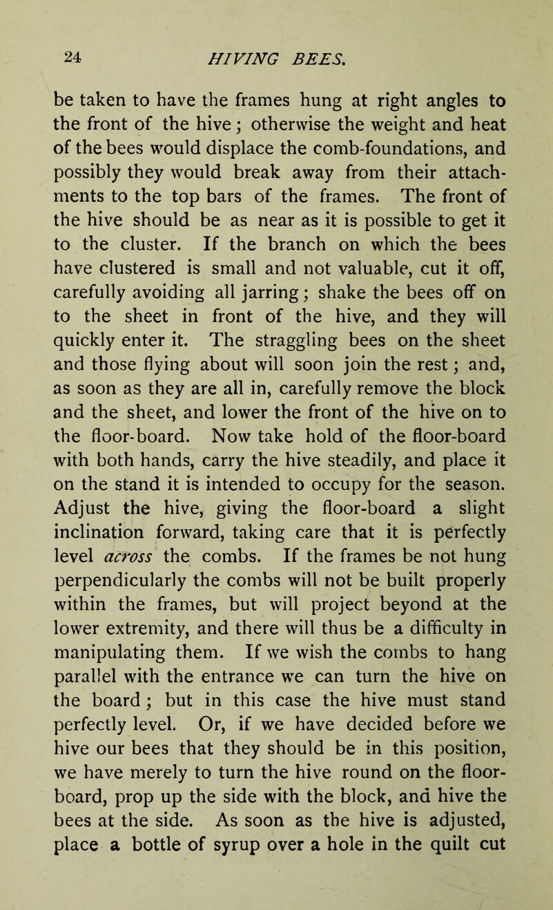 be taken to have the frames hung at right angles to the front of the hive; otherwise the weight and heat of the bees would displace the comb-foundations, and possibly they would break away from their attach- ments to the top bars of the frames. The front of the hive should be as near as it is possible to get it to the cluster. If the branch on which the bees have clustered is small and not valuable, cut it off, carefully avoiding all jarring; shake the bees off on to the sheet in front of the hive, and they will quickly enter it. The straggling bees on the sheet and those flying about will soon join the rest; and, as soon as they are all in, carefully remove the block and the sheet, and lower the front of the hive on to the floor-board. Now take hold of the floor-board with both hands, carry the hive steadily, and place it on the stand it is intended to occupy for the season. Adjust the hive, giving the floor-board a slight inclination forward, taking care that it is perfectly level across the combs. If the frames be not hung perpendicularly the combs will not be built properly within the frames, but will project beyond at the lower extremity, and there will thus be a difficulty in manipulating them. If we wish the combs to hang parallel with the entrance we can turn the hive on the board ; but in this case the hive must stand perfectly level. Or, if we have decided before we hive our bees that they should be in this position, we have merely to turn the hive round on the floor- board, prop up the side with the block, and hive the bees at the side. As soon as the hive is adjusted, place a bottle of syrup over a hole in the quilt cut