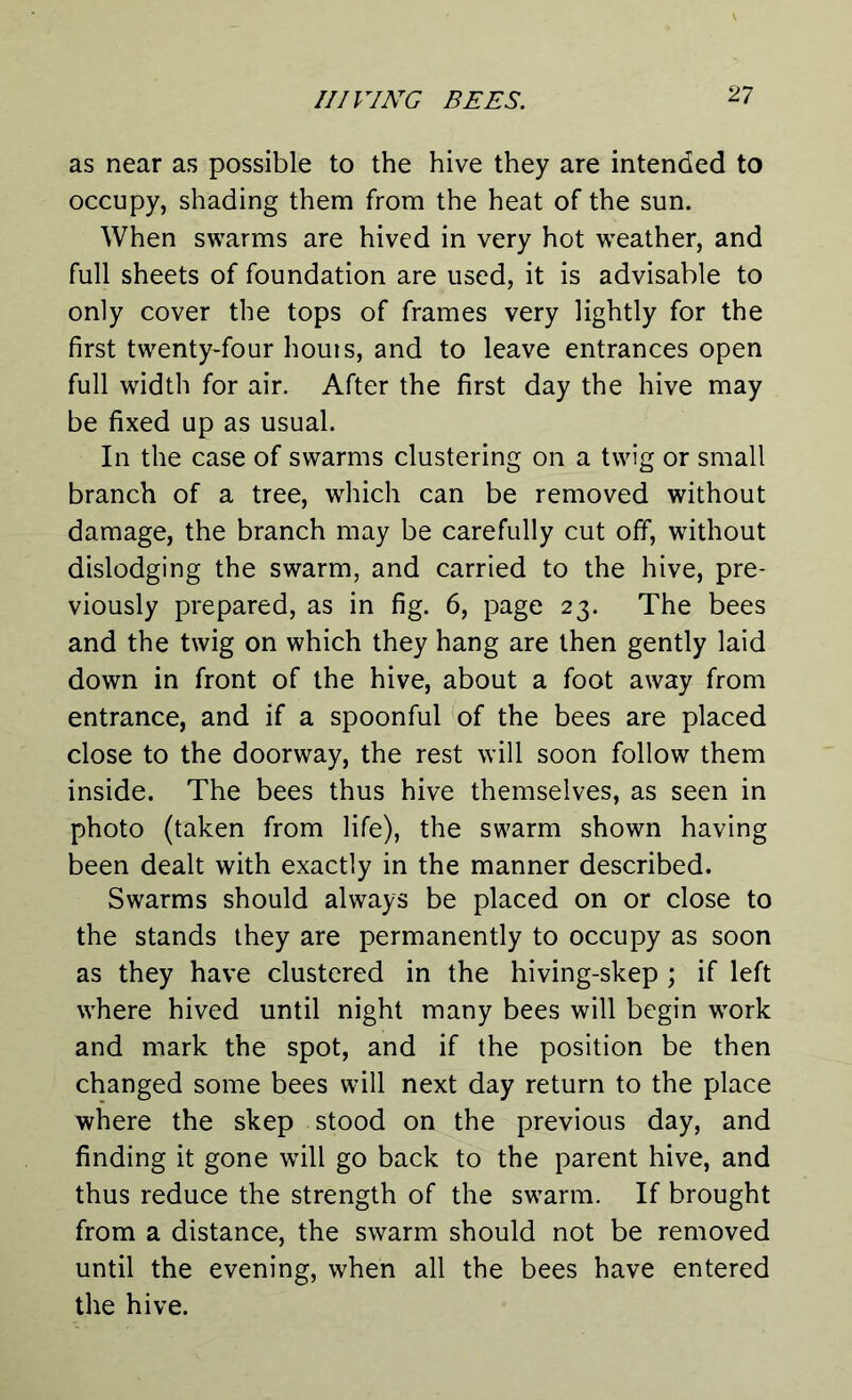 as near as possible to the hive they are intended to occupy, shading them from the heat of the sun. When swarms are hived in very hot weather, and full sheets of foundation are used, it is advisable to only cover the tops of frames very lightly for the first twenty-four houis, and to leave entrances open full width for air. After the first day the hive may be fixed up as usual. In the case of swarms clustering on a twig or small branch of a tree, which can be removed without damage, the branch may be carefully cut off, without dislodging the swarm, and carried to the hive, pre- viously prepared, as in fig. 6, page 23. The bees and the twig on which they hang are then gently laid down in front of the hive, about a foot away from entrance, and if a spoonful of the bees are placed close to the doorway, the rest will soon follow them inside. The bees thus hive themselves, as seen in photo (taken from life), the swarm shown having been dealt with exactly in the manner described. Swarms should always be placed on or close to the stands they are permanently to occupy as soon as they have clustered in the hiving-skep ; if left where hived until night many bees will begin work and mark the spot, and if the position be then changed some bees will next day return to the place where the skep stood on the previous day, and finding it gone will go back to the parent hive, and thus reduce the strength of the swarm. If brought from a distance, the swarm should not be removed until the evening, when all the bees have entered the hive.