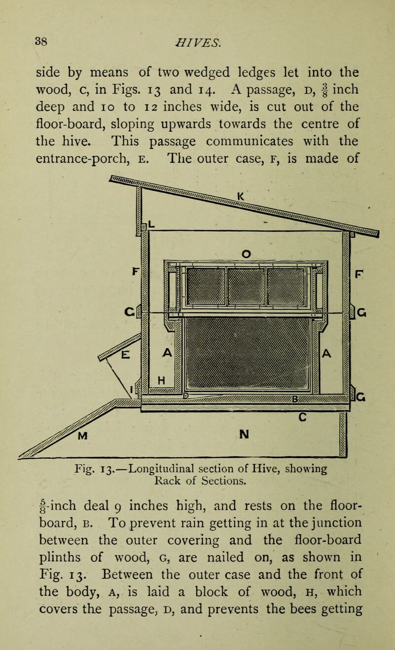 side by means of two wedged ledges let into the wood, c, in Figs. 13 and 14. A passage, d, § inch deep and 10 to 12 inches wide, is cut out of the floor-board, sloping upwards towards the centre of the hive. This passage communicates with the entrance-porch, e. The outer case, f, is made of Fig* 13*—Longitudinal section of Hive, showing Rack of Sections. f-inch deal 9 inches high, and rests on the floor- board, b. To prevent rain getting in at the junction between the outer covering and the floor-board plinths of wood, G, are nailed on, as shown in Fig. 13. Between the outer case and the front of the body, a, is laid a block of wood, h, which covers the passage, d, and prevents the bees getting